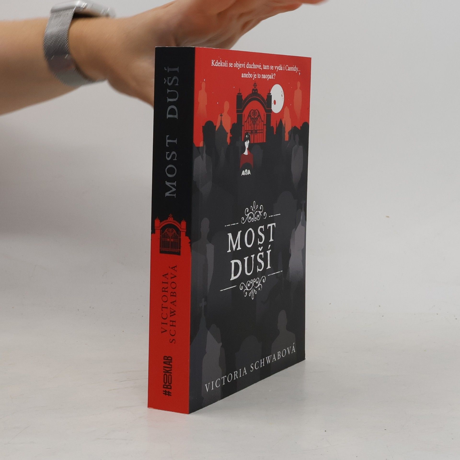 V. E. Schwab Most duší