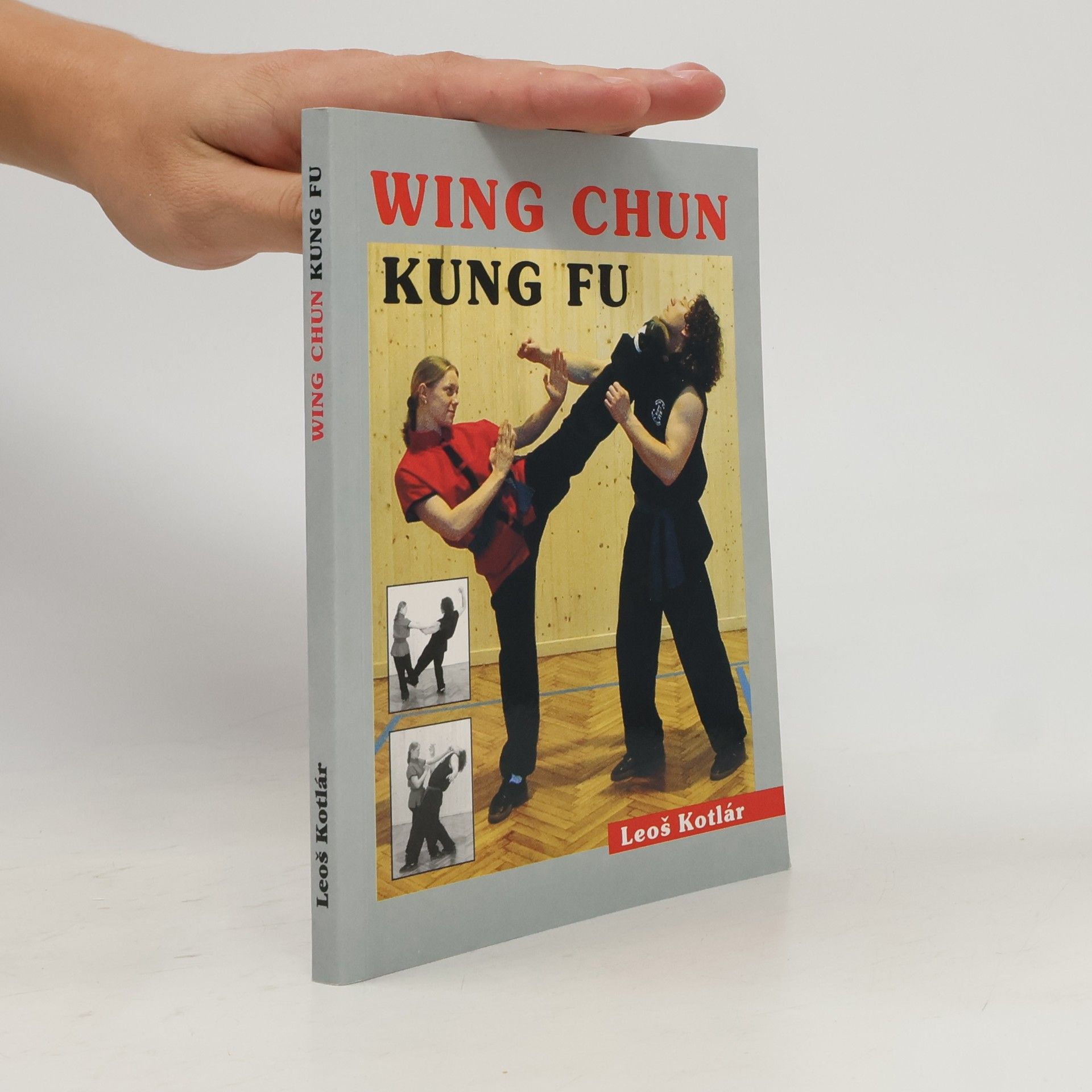 Leoš Kotlár Wing chun. Kung fu. Metodická příručka