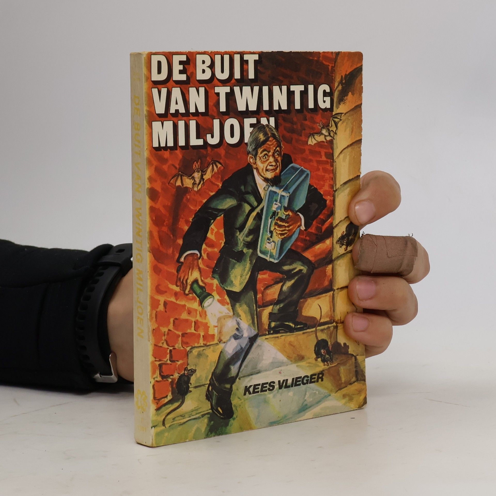 Kees Vlieger De buit van twintig miljoen