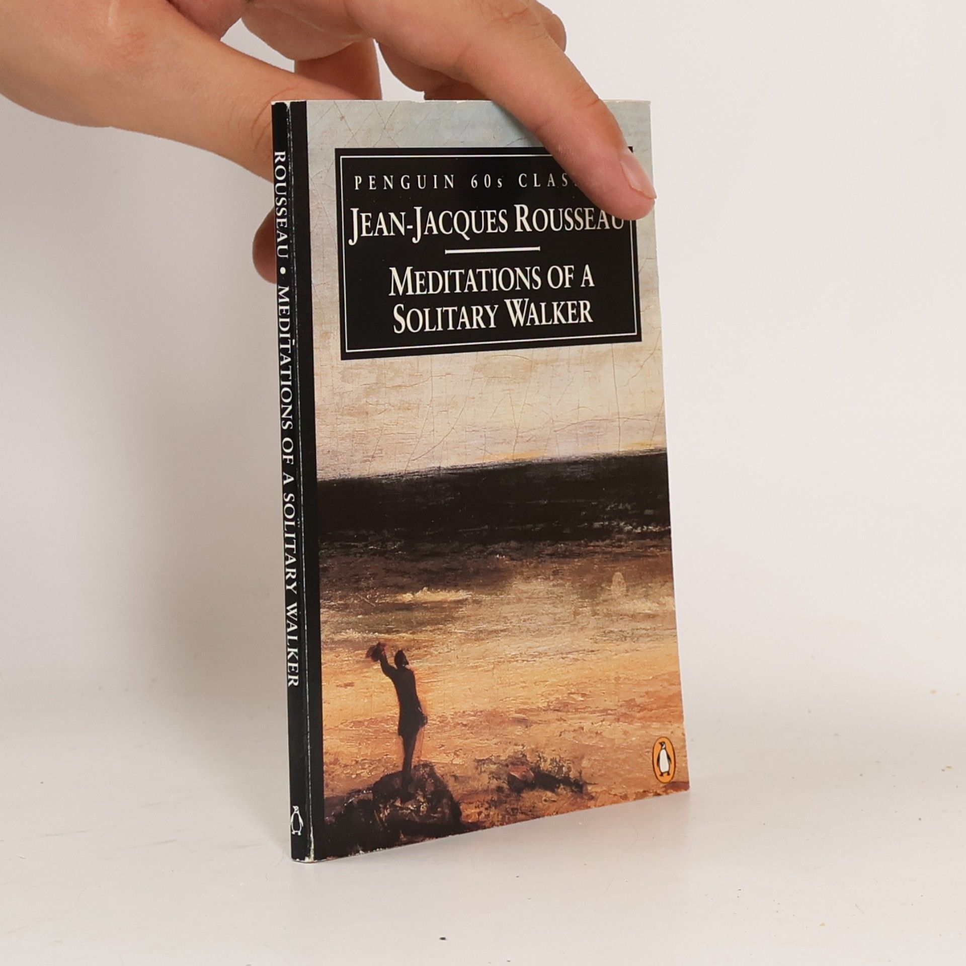 Peter France Meditations of a Solitary Walker