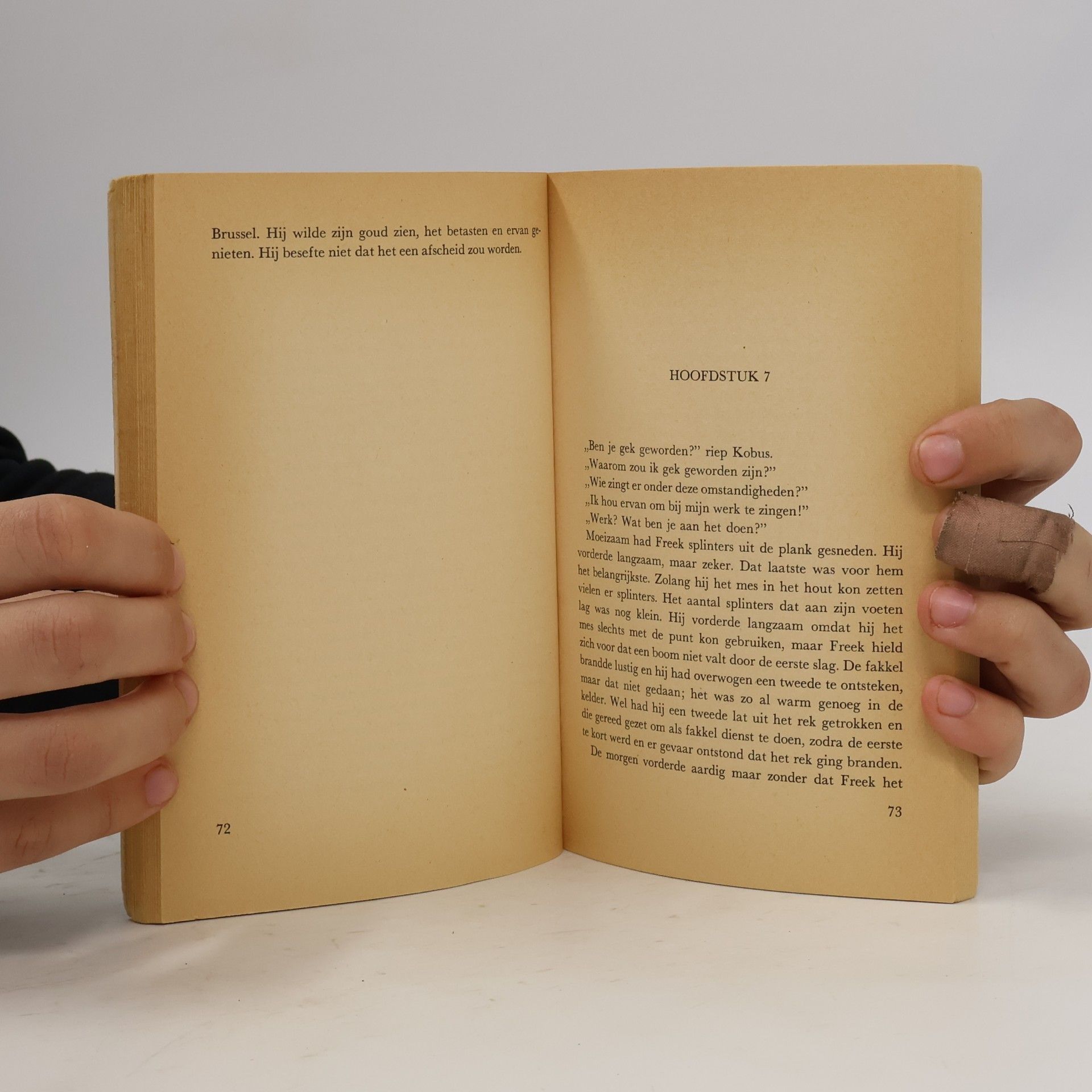 Kees Vlieger Rechercheur Van Hoovelt achter de tralies