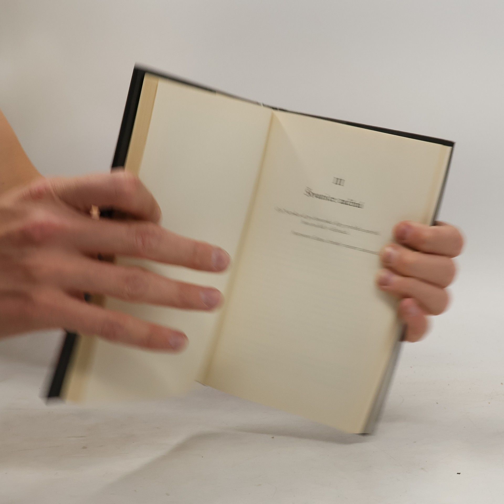 Charles Whiting Pátrání po Martinu Bormannovi - Pravdivý příběh