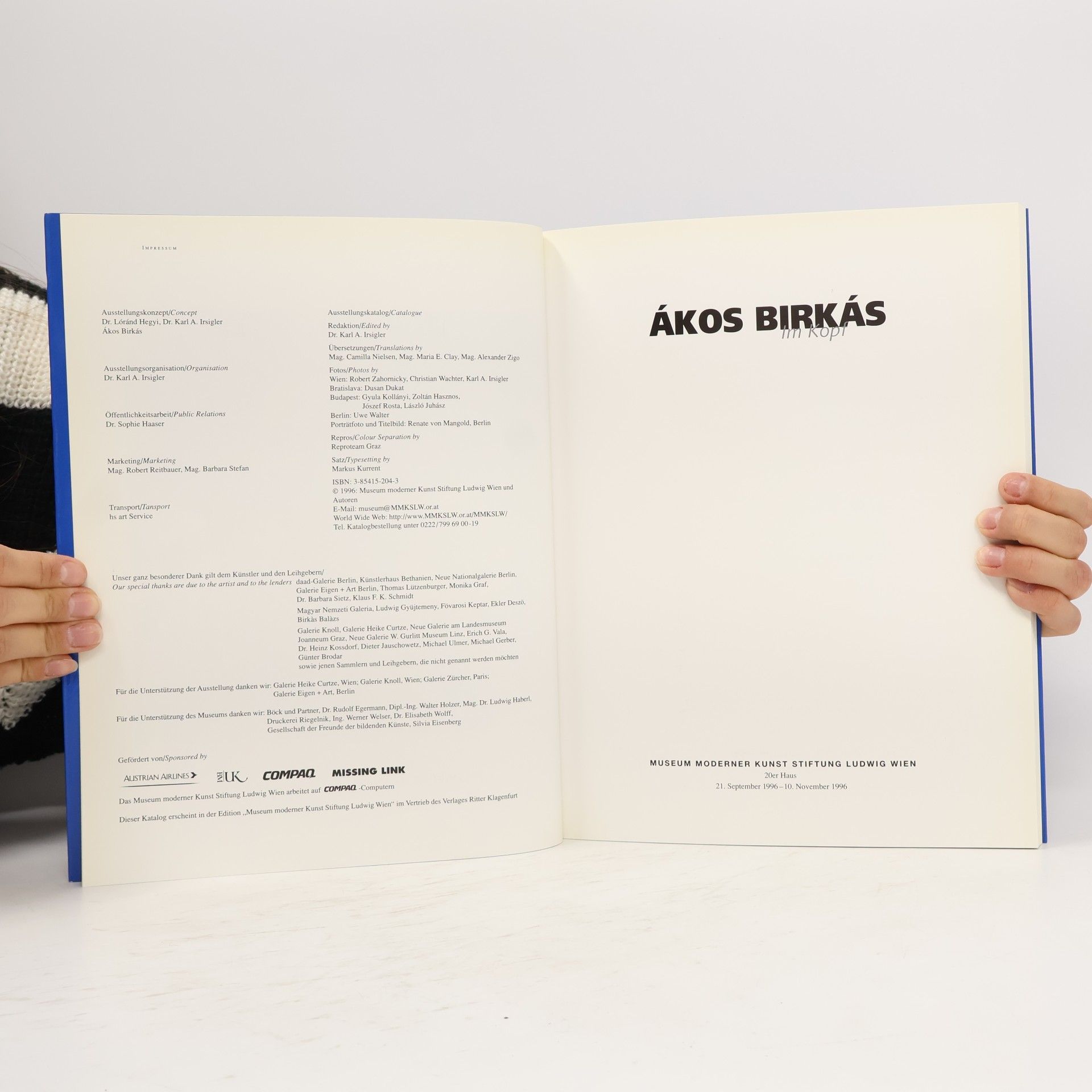 Ákos Birkás Im Kopf
