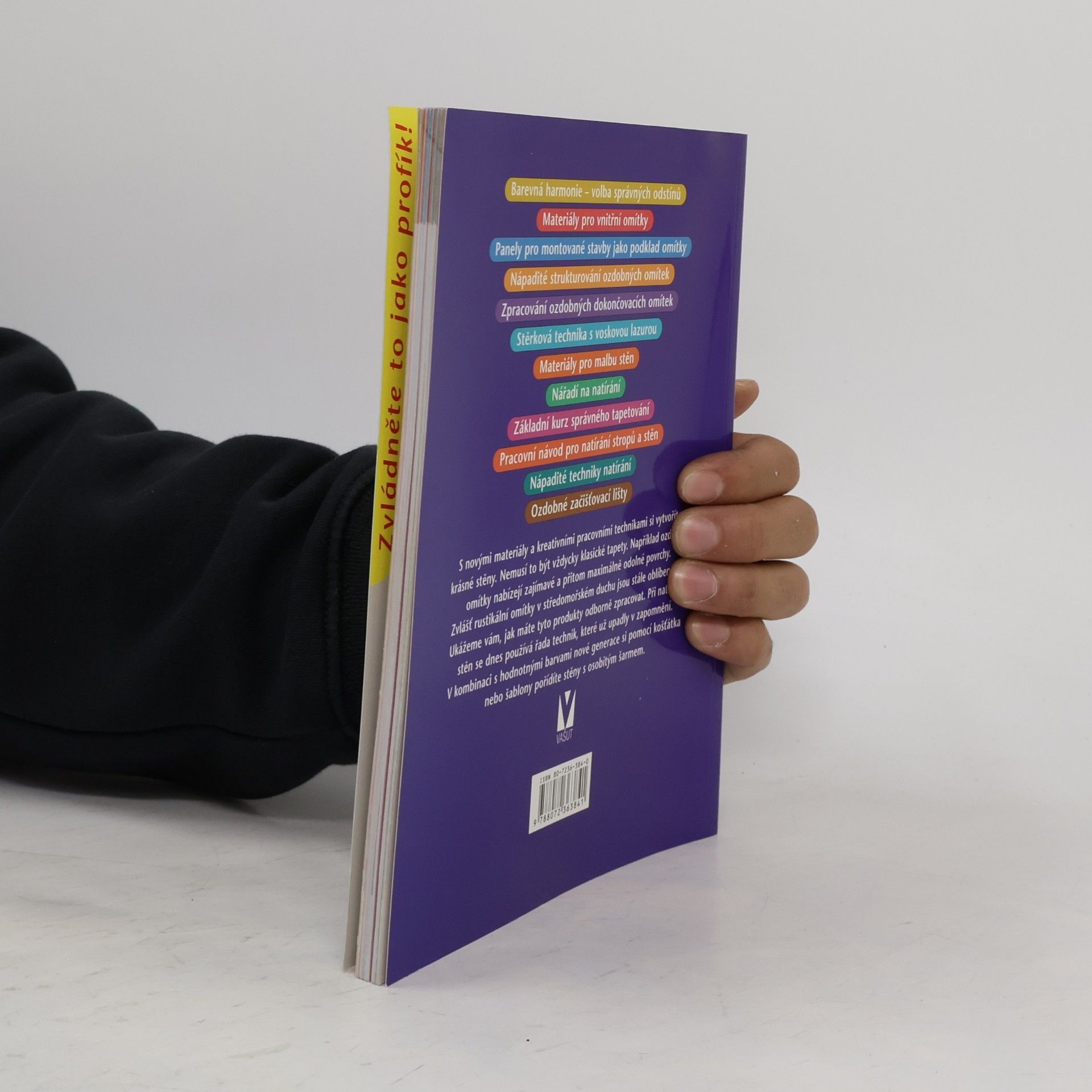 Autorenkollektiv Ozdobné omítky: Malování a tapetování Malování a tapetování