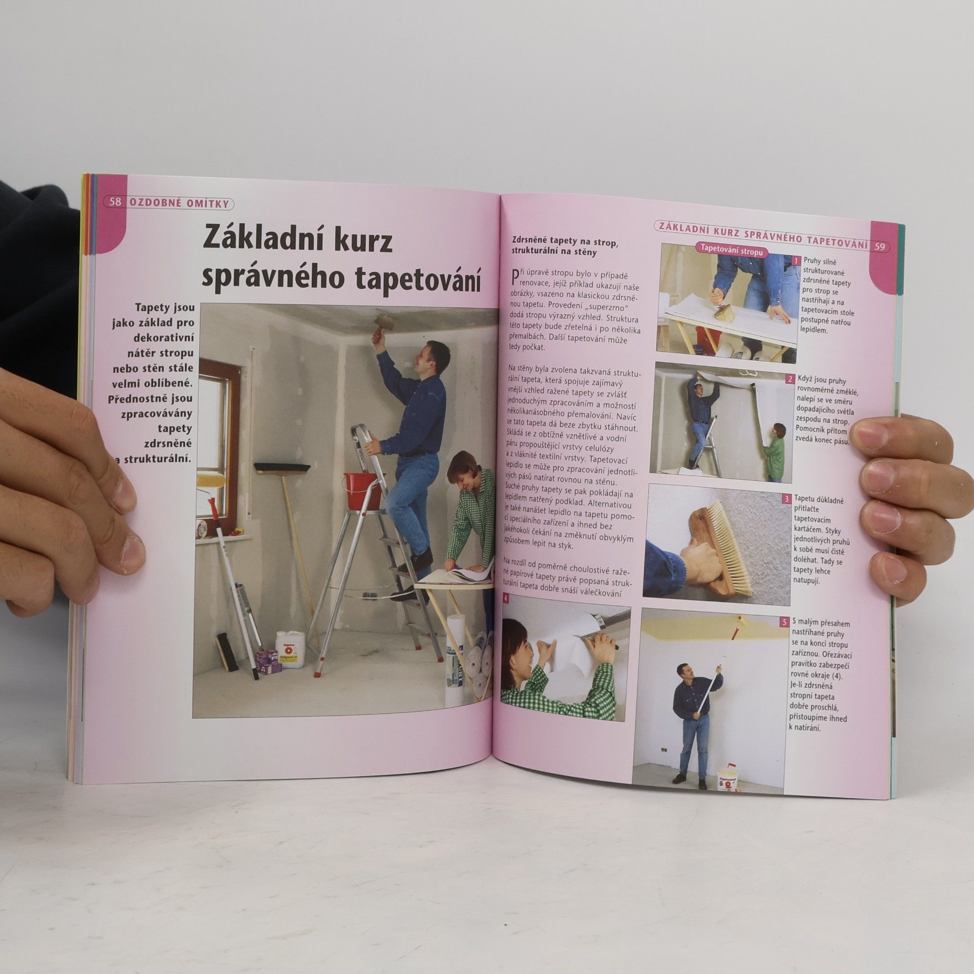 Autorenkollektiv Ozdobné omítky: Malování a tapetování Malování a tapetování