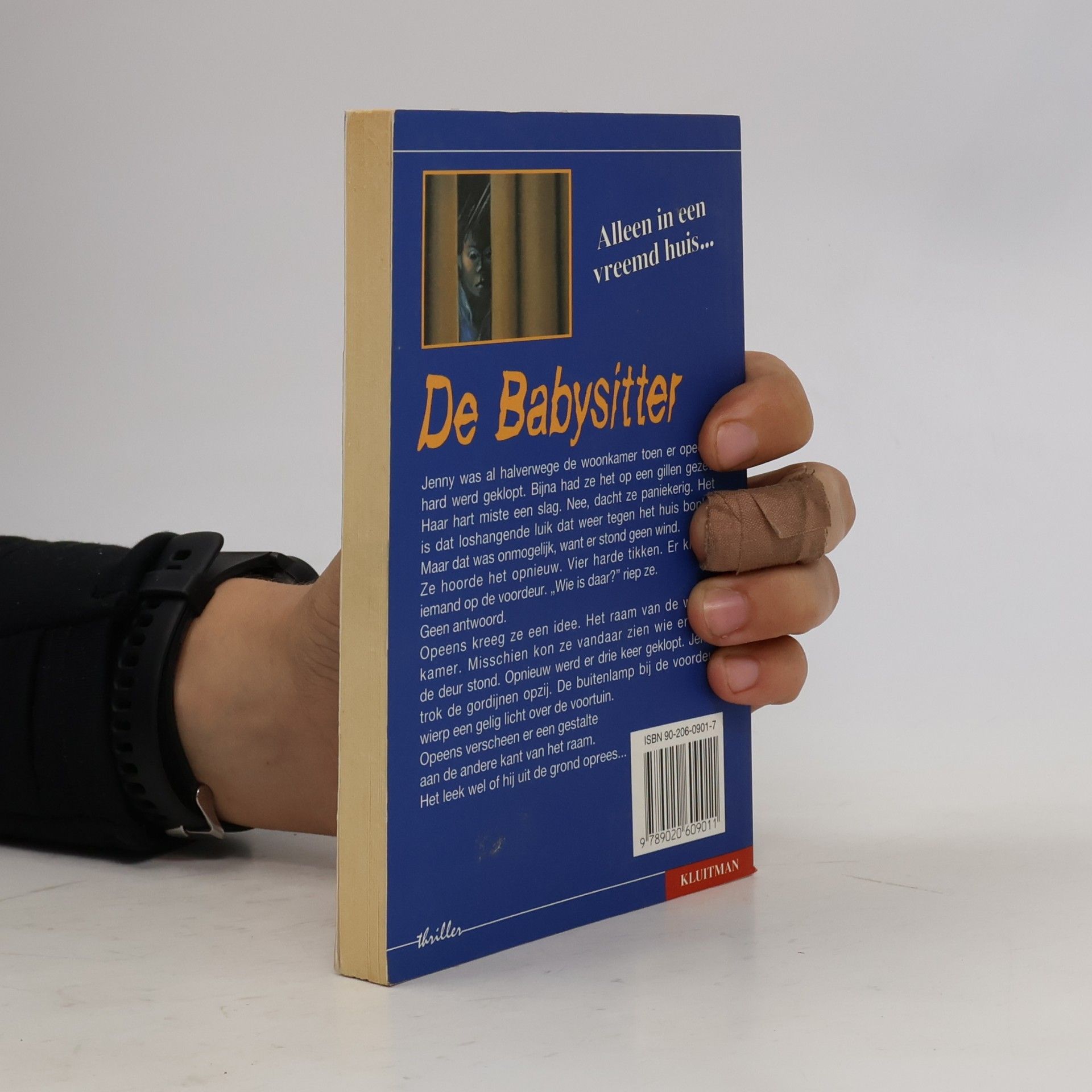 Annelies Clements De babysitter