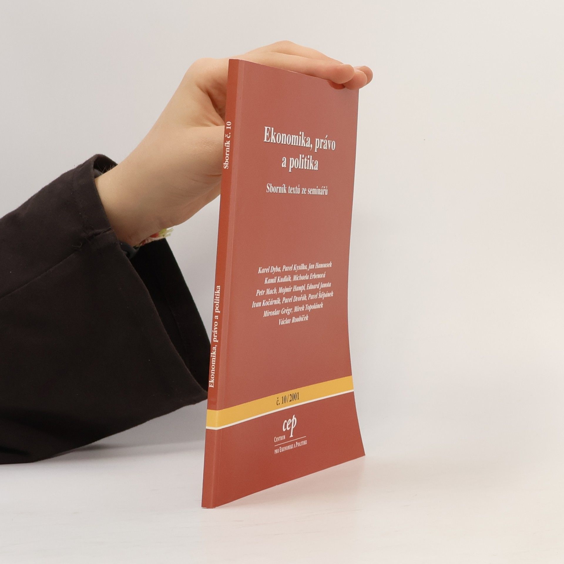 Kolektiv autorů Ekonomika, právo a politika. Sborník textů ze seminářů 10