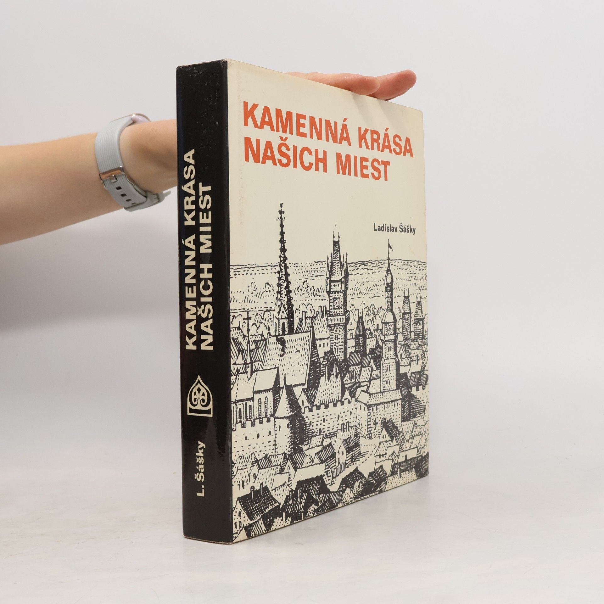 Ladislav Šášky Kamenná krása našich miest