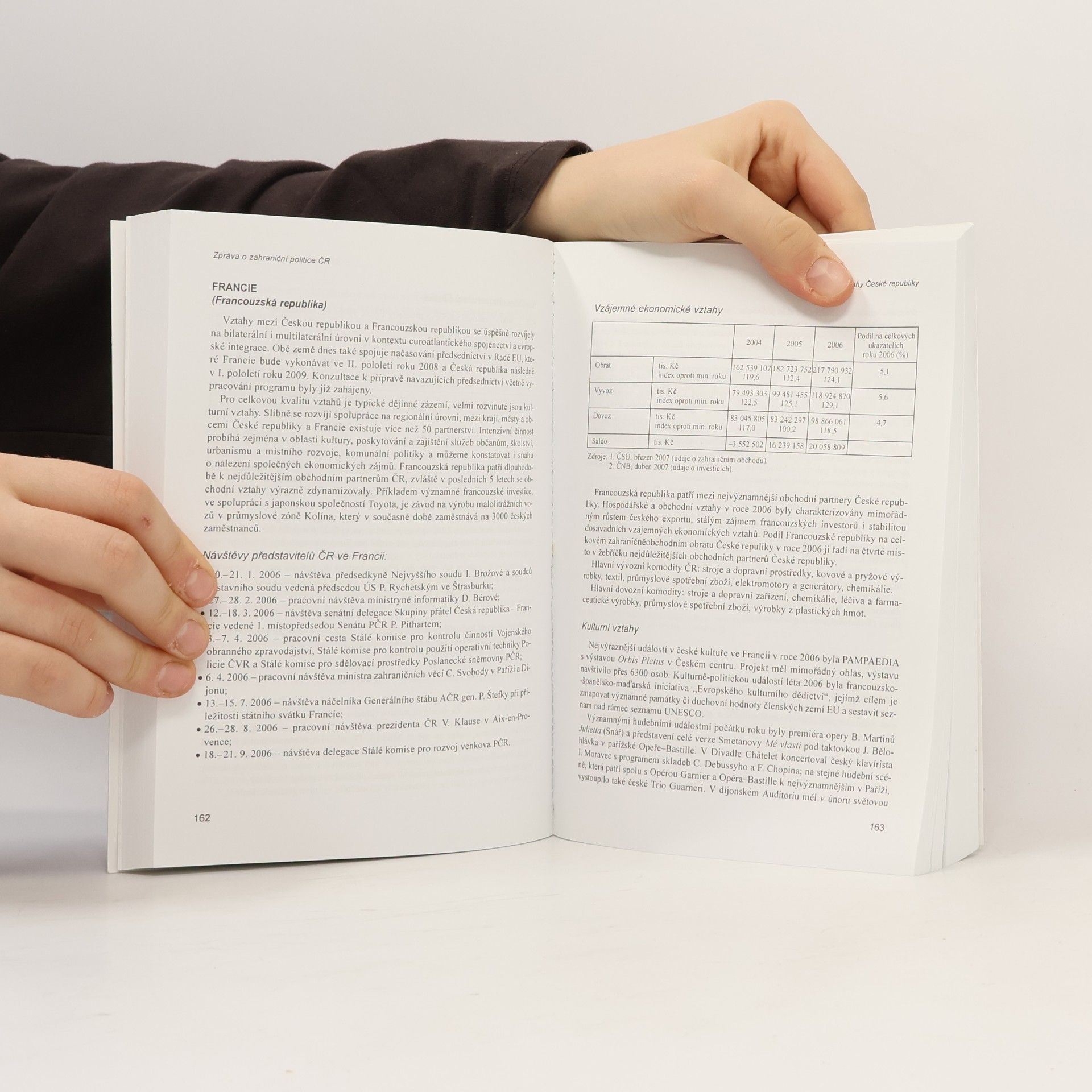 Autorenkollektiv Zpráva o zahraniční politice České republiky za období od ledna 2006 do prosince 2006