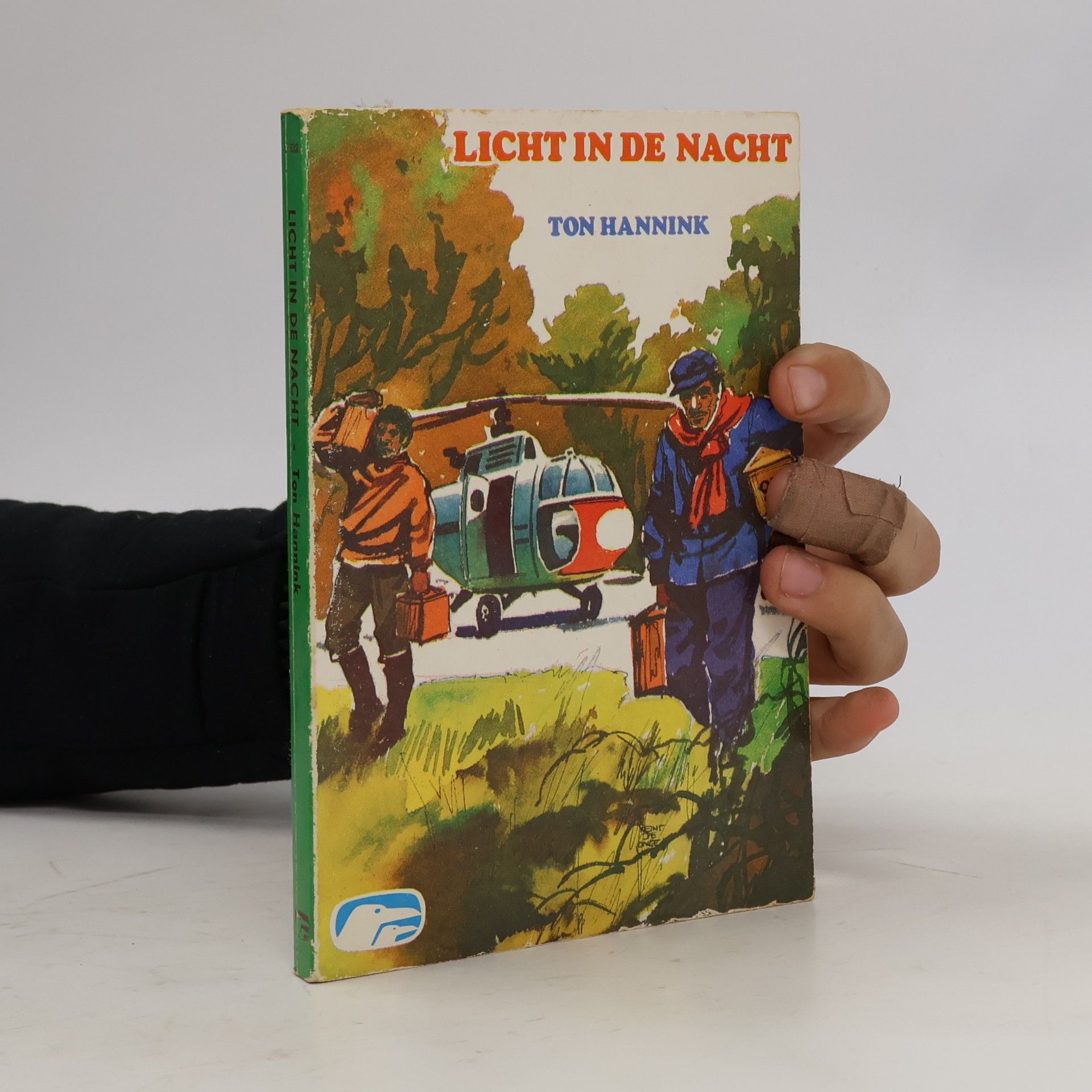 Ton Hannink Licht in de Nacht