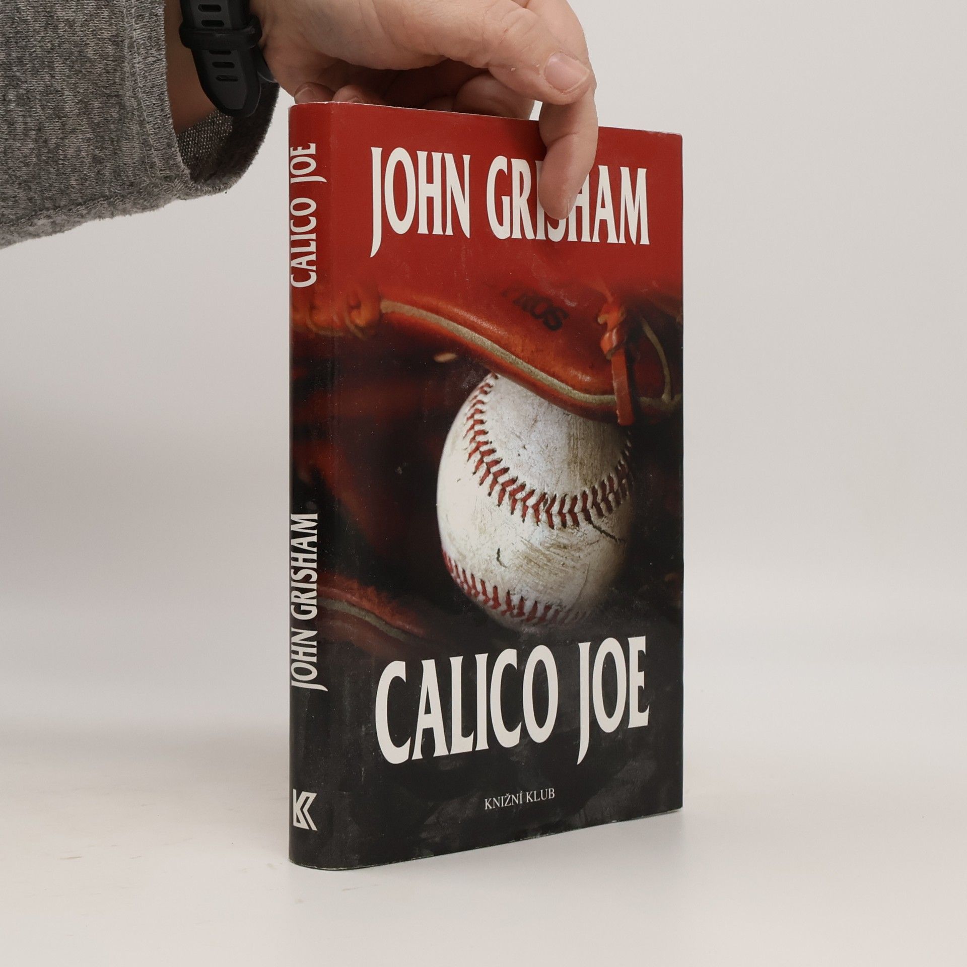 John Grisham Calico Joe