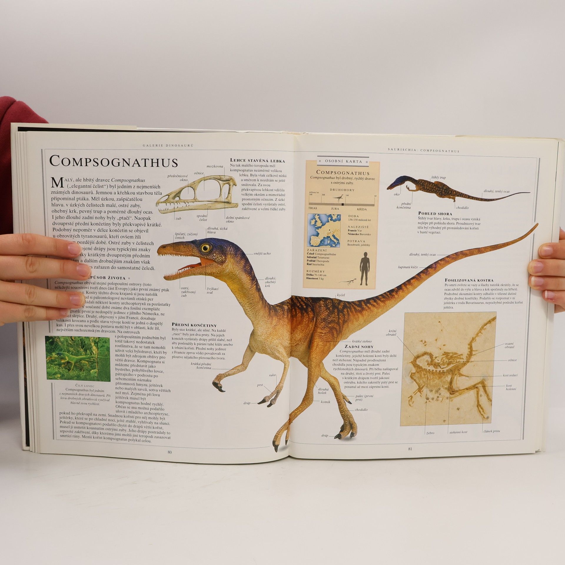 David Lambert Velká kniha o dinosaurech
