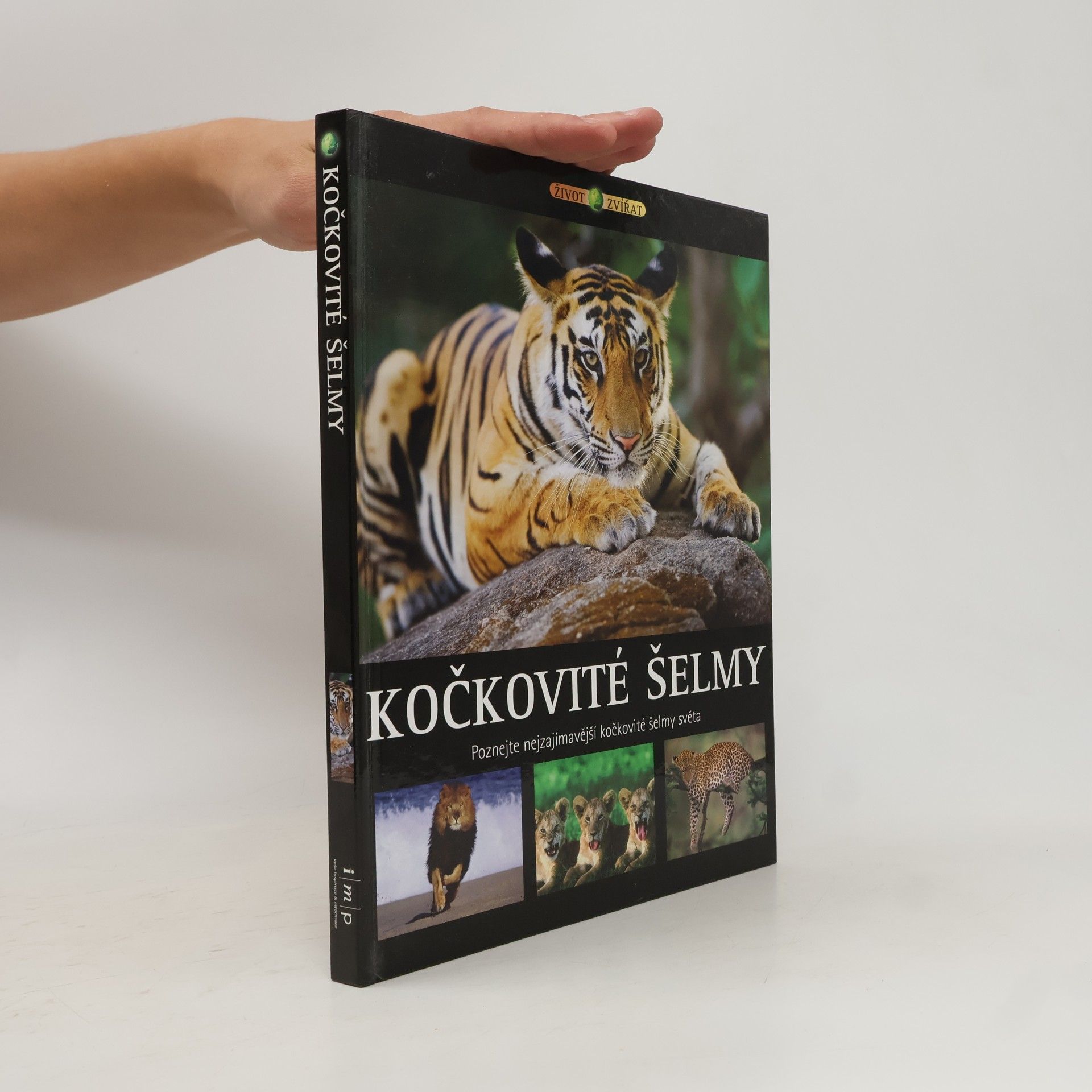 Kočkovité šelmy