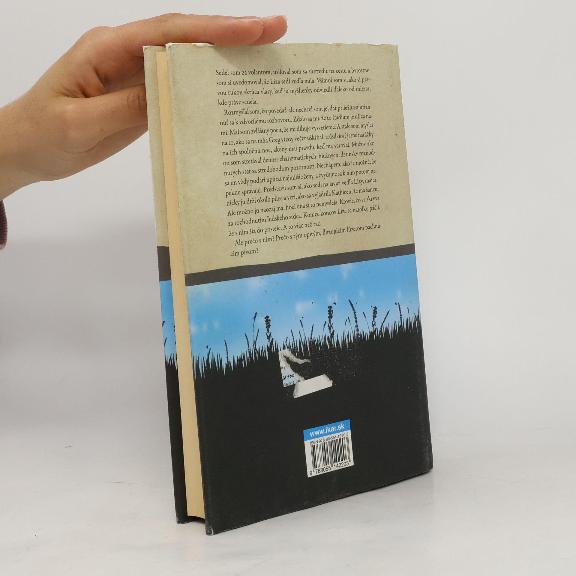 Jojo Moyes Strieborný záliv