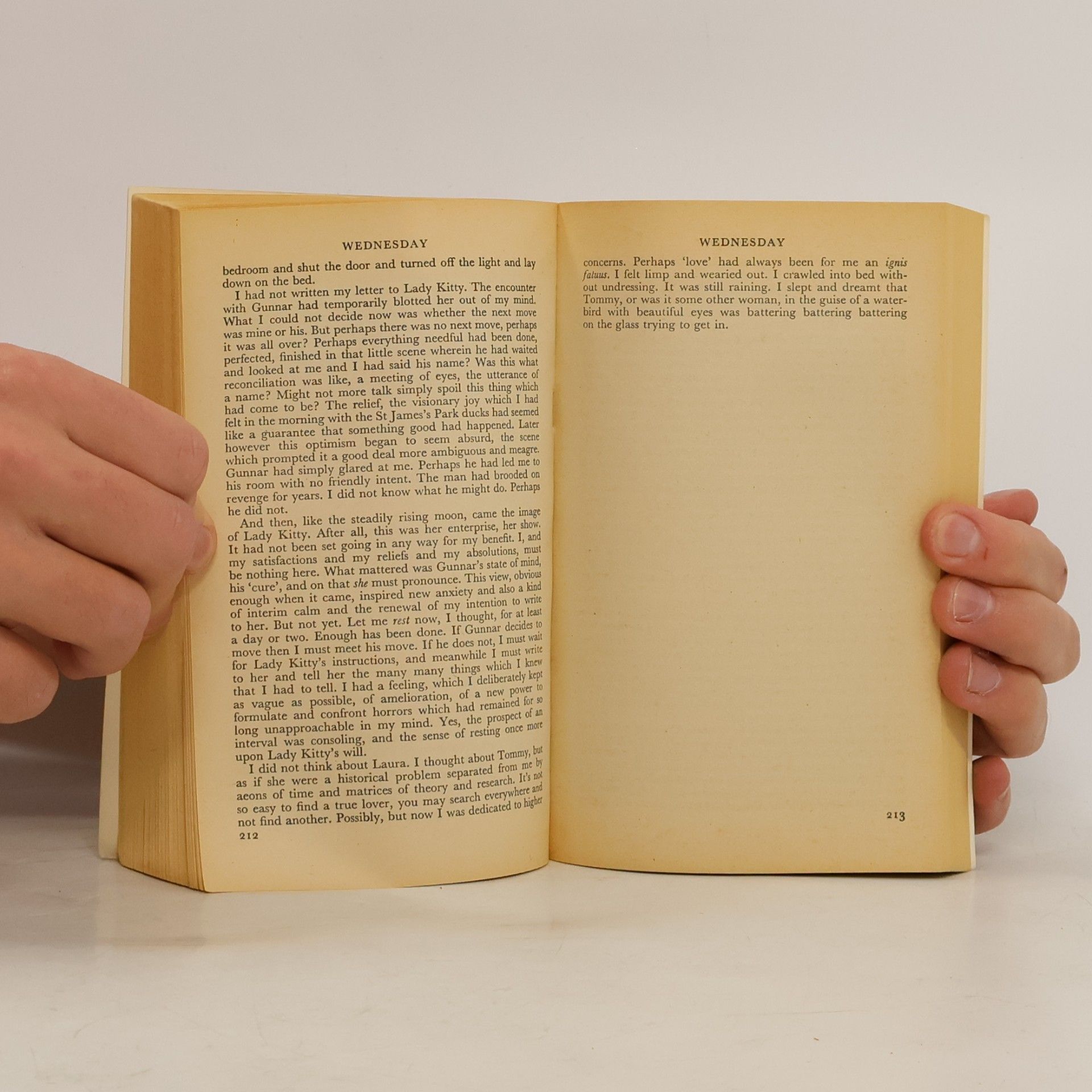 Iris Murdoch A Word Child
