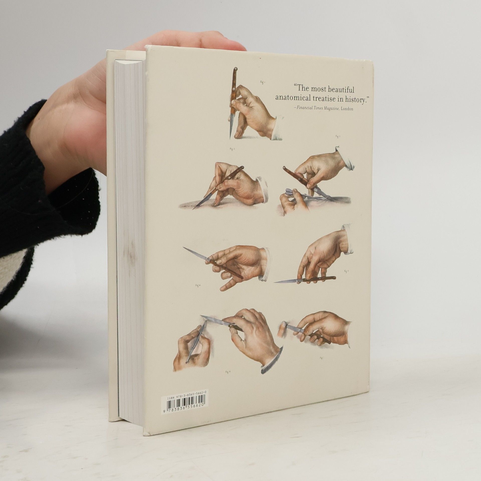 J. M. Bourgery Atlas of Human Anatomy and Surgery