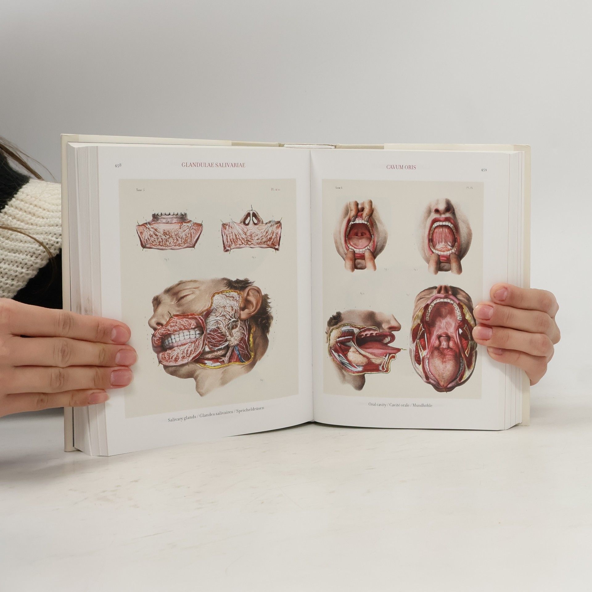 J. M. Bourgery Atlas of Human Anatomy and Surgery