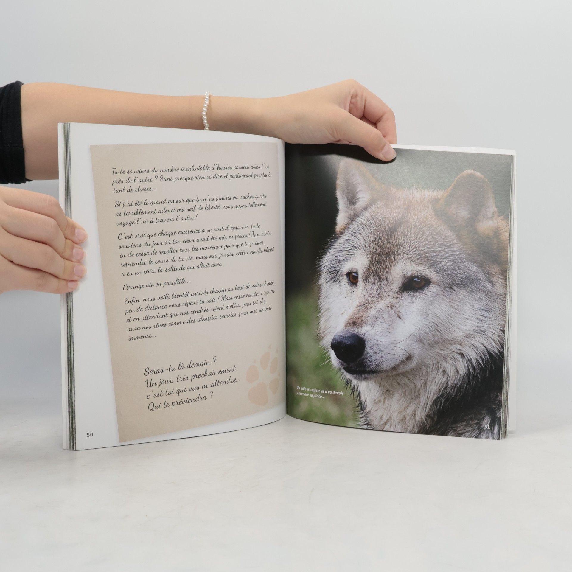 Jocelyne Thomas Les Loups de Port Saint-Père: La guerre des meutes ou Le destin de Brad