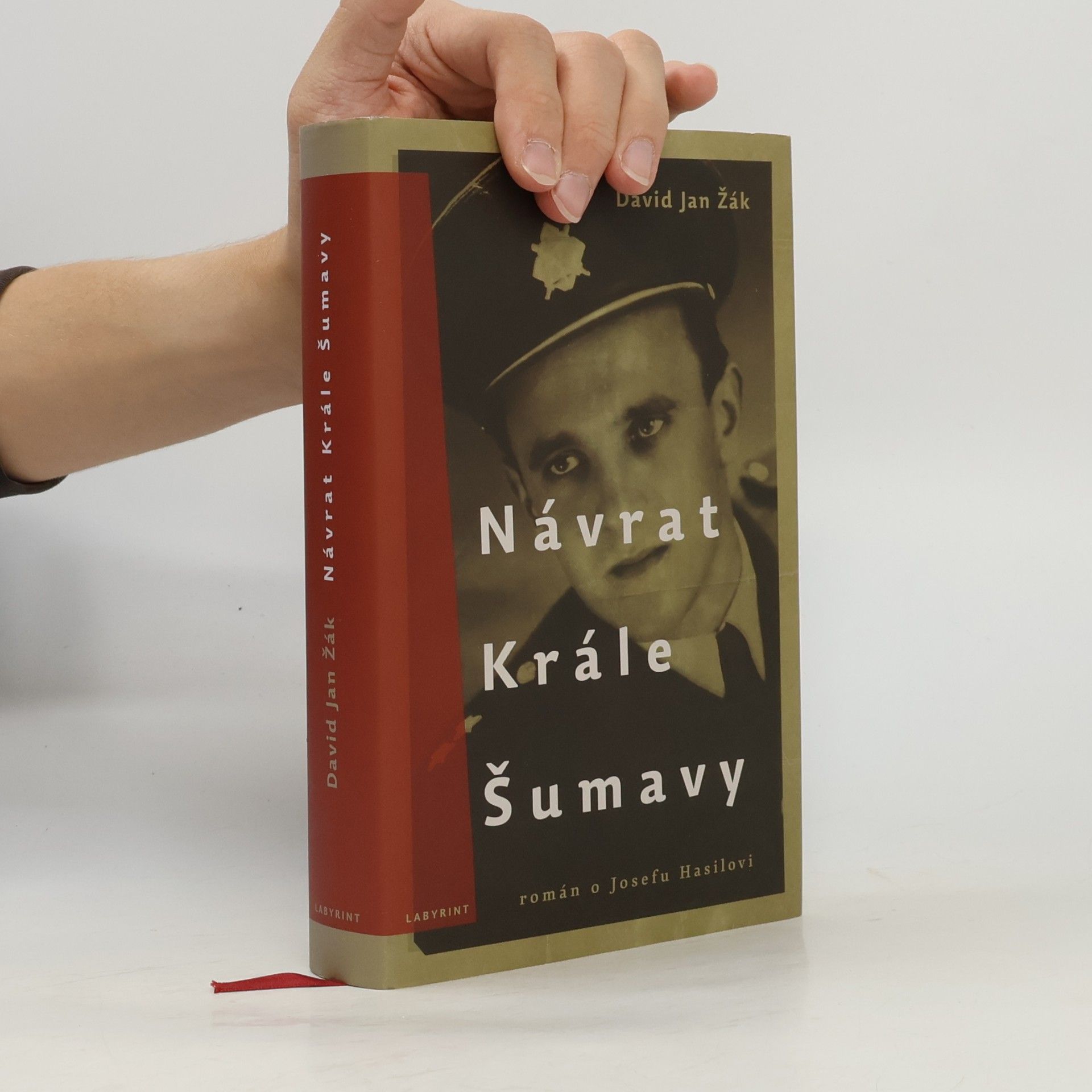 David Jan Žák Návrat Krále Šumavy