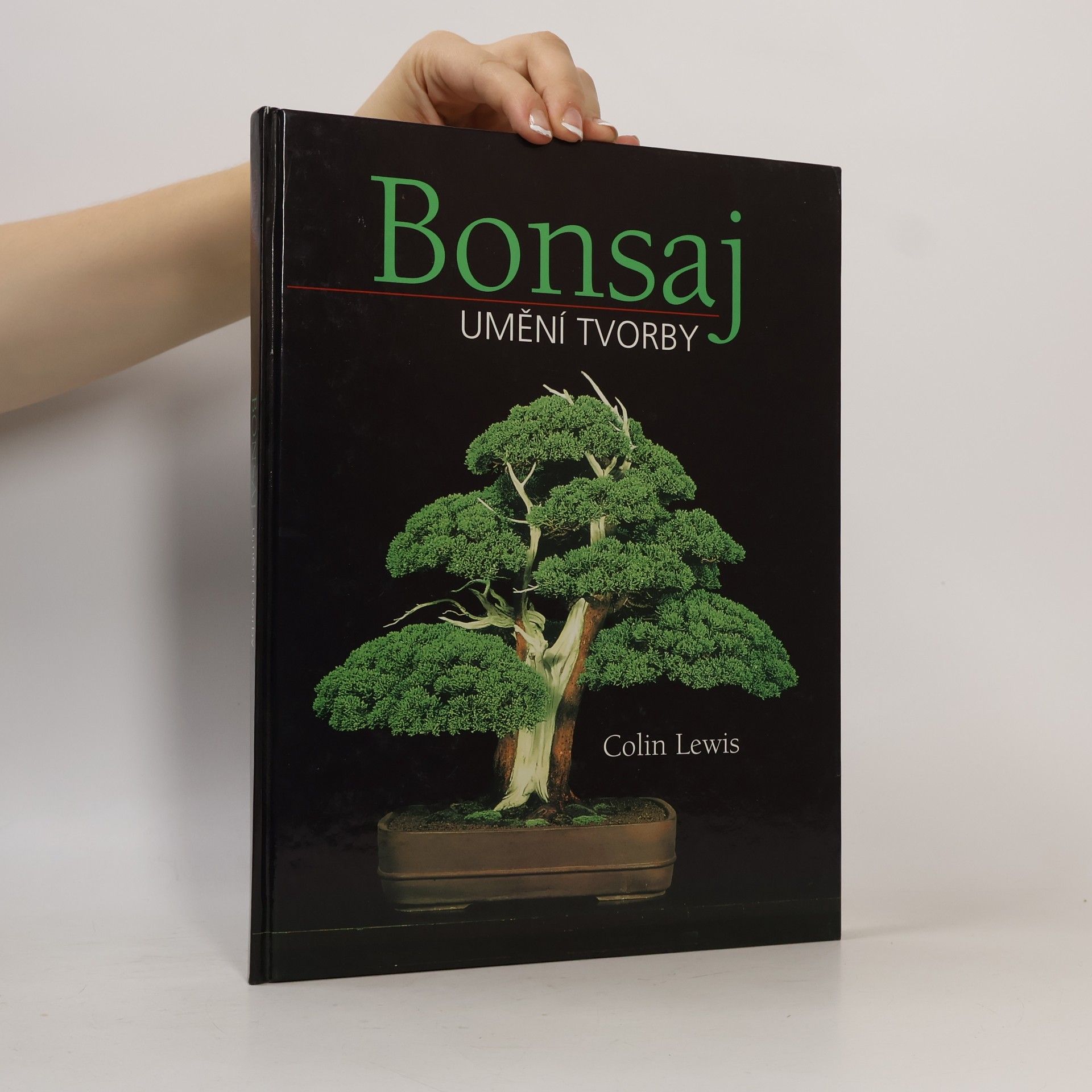 Bonsaj: umění tvorby