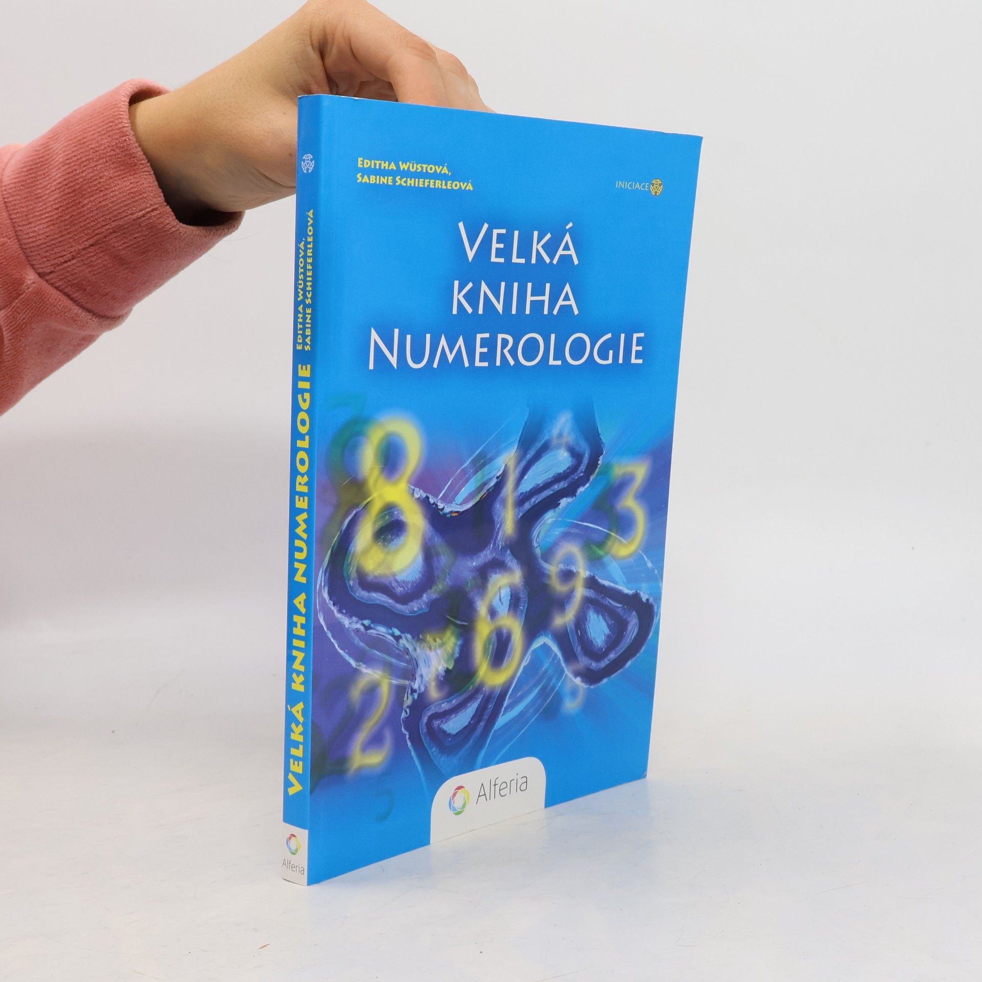 Editha Wüst Velká kniha numerologie