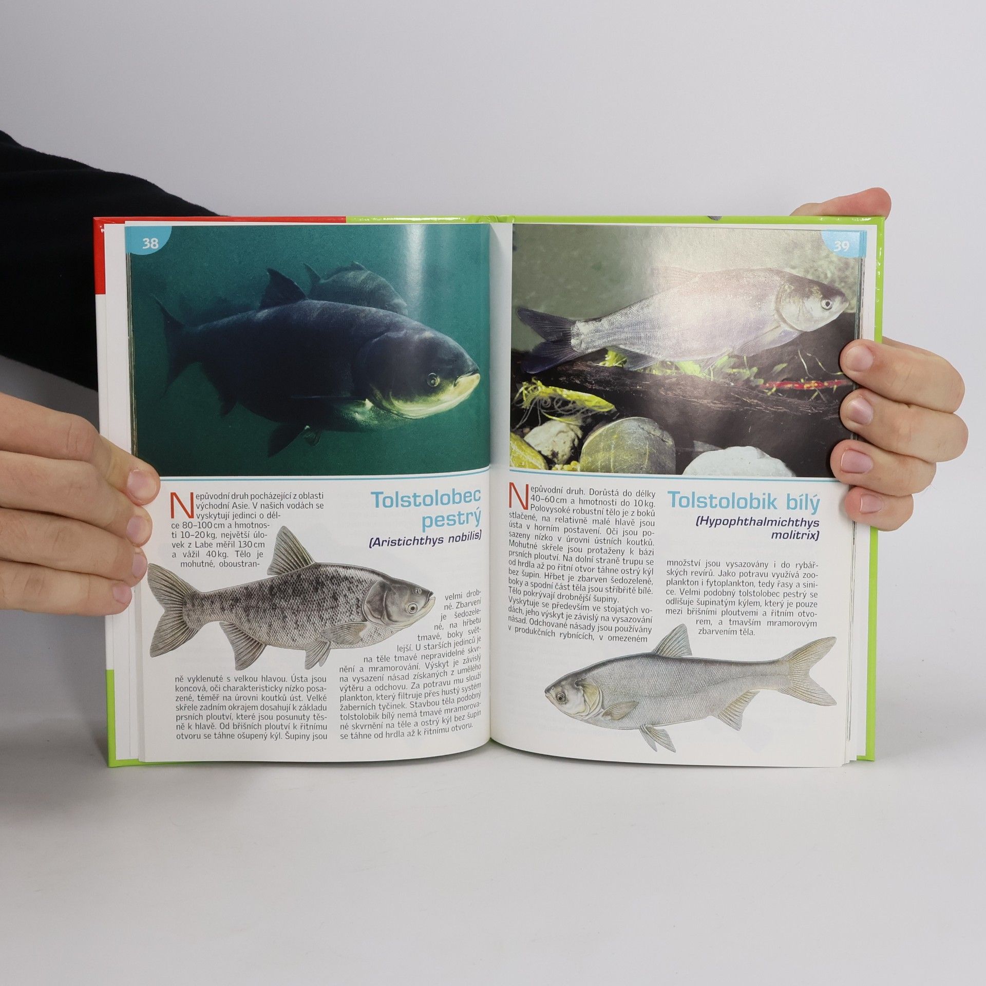 Stanislav Lusk Edice Receptář. Naše ryby atlas. Recepty z ryb