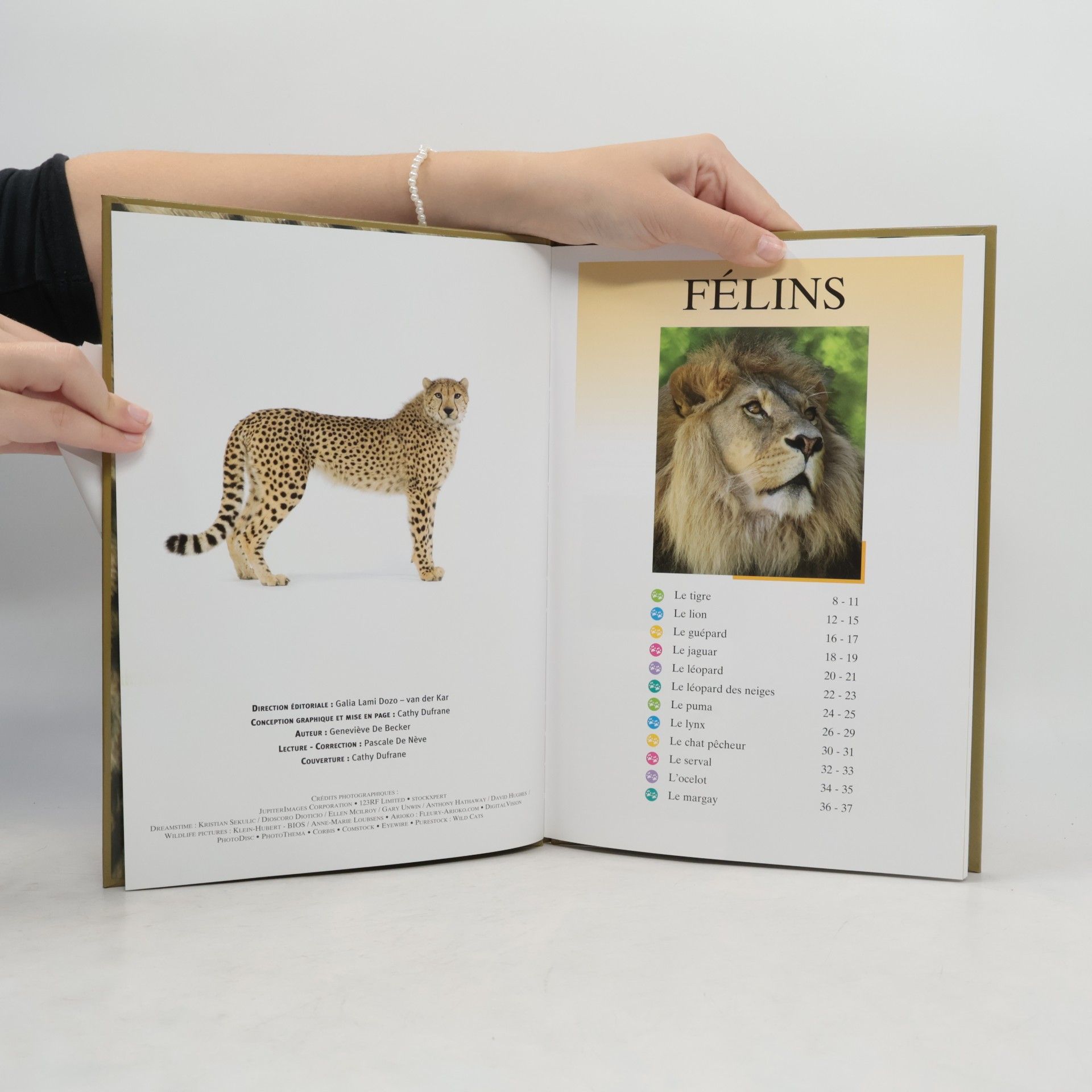 Félins