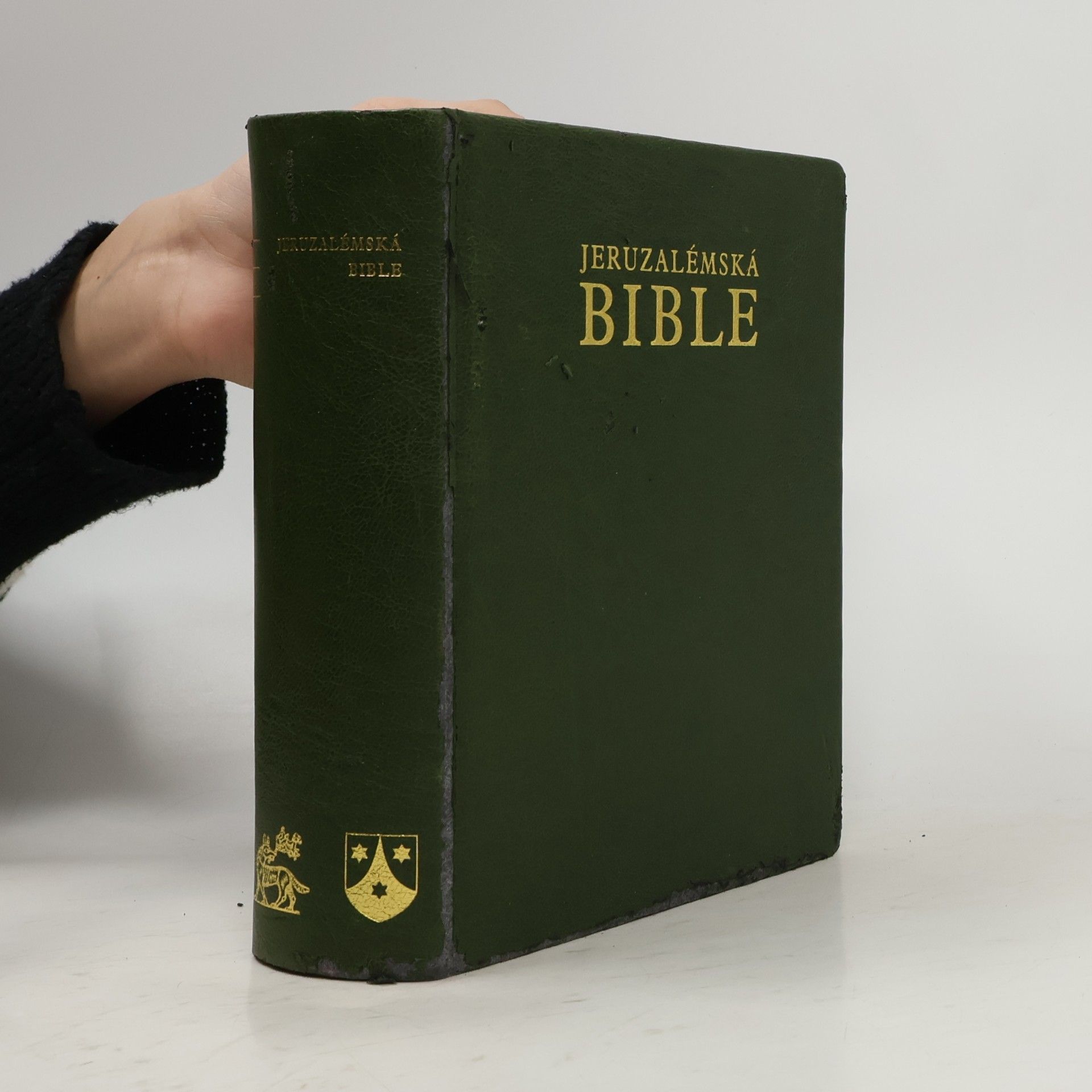 Kolektiv autorů Jeruzalémská bible