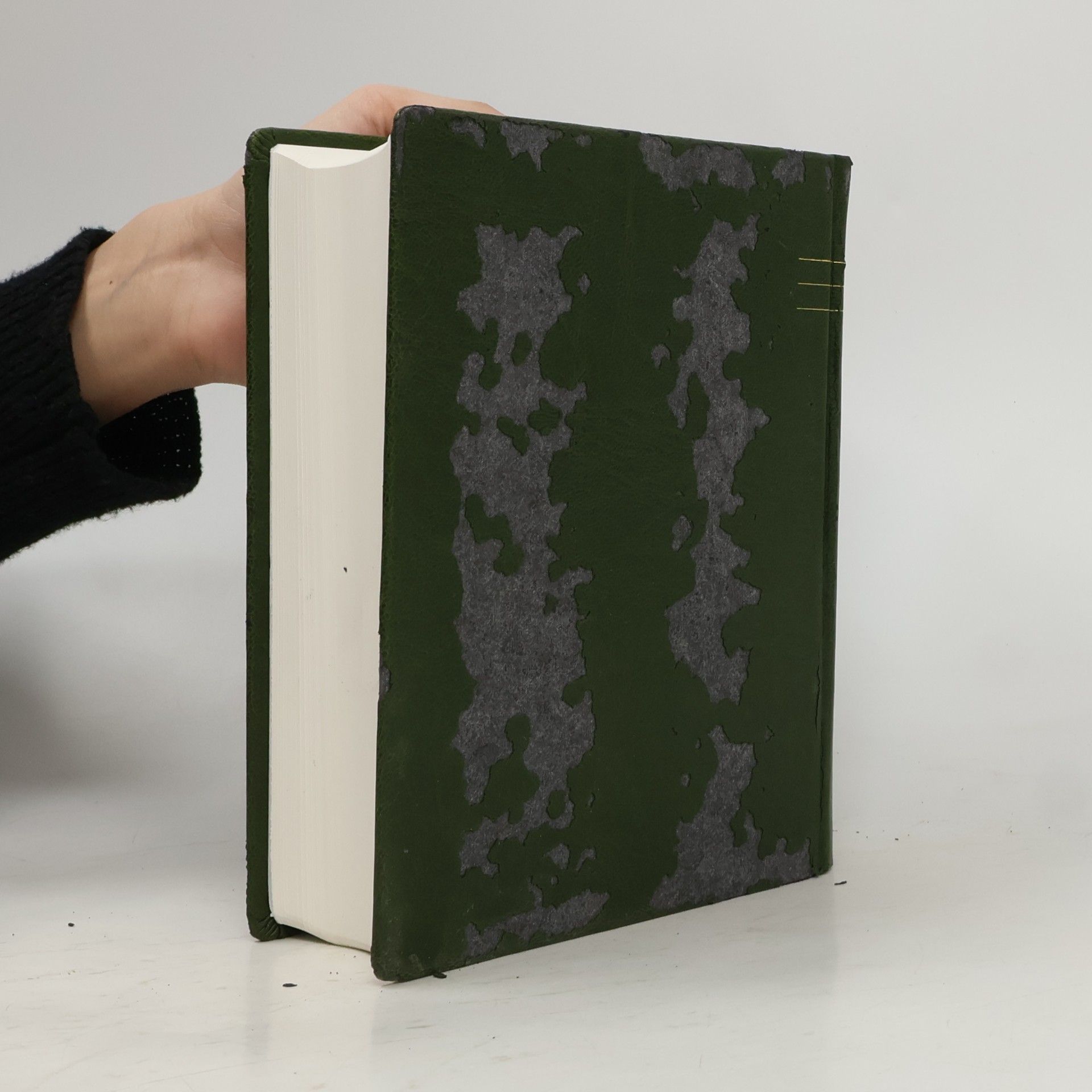 Autorenkollektiv Jeruzalémská bible