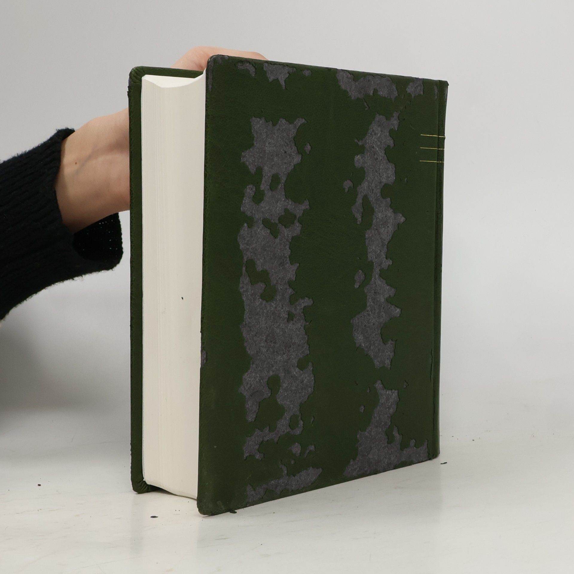 Autorenkollektiv Jeruzalémská bible