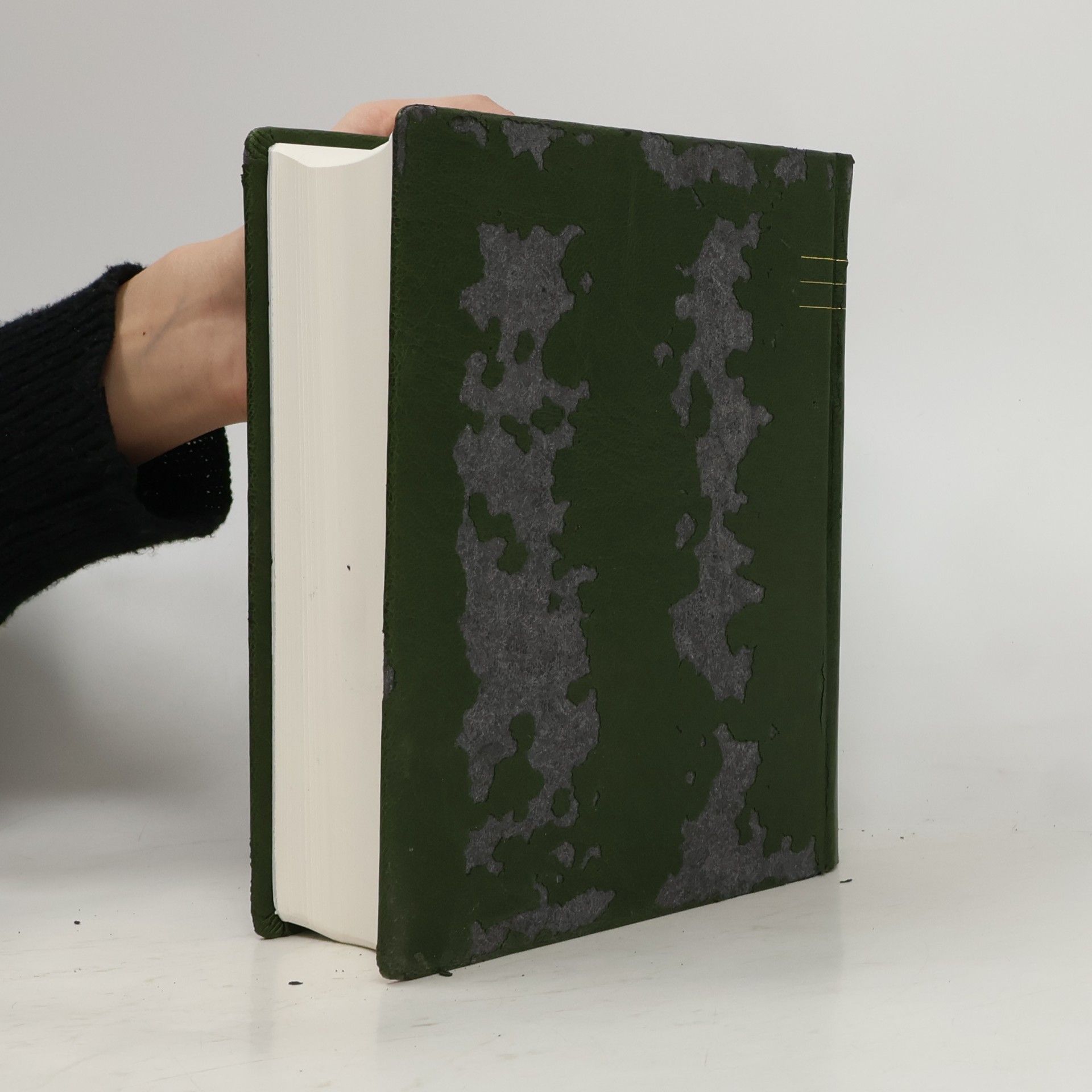 Autorenkollektiv Jeruzalémská bible