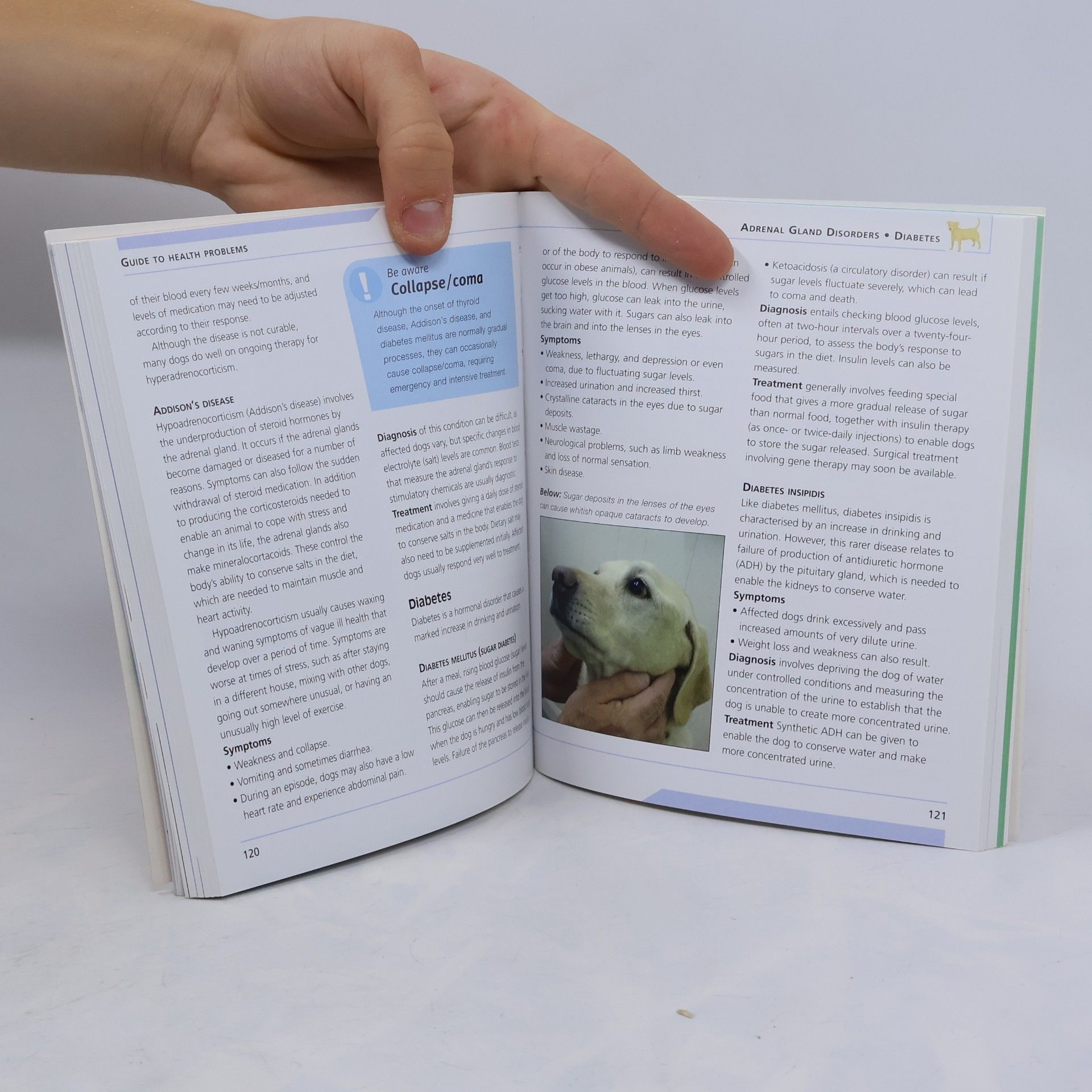 Roberta Baxter Mini Encyclopedia of Dog Health