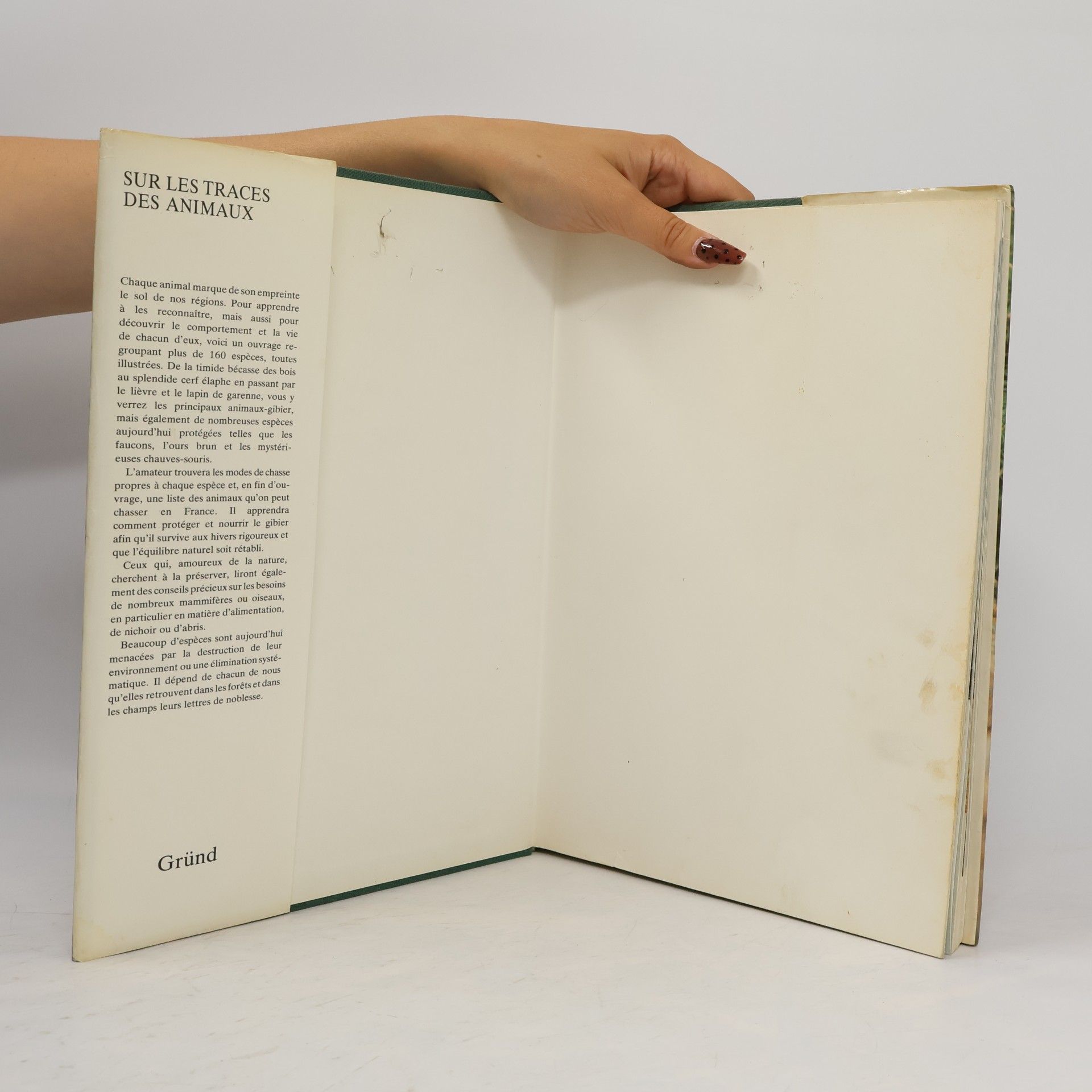 Miroslav Poruba Sur les traces des animaux