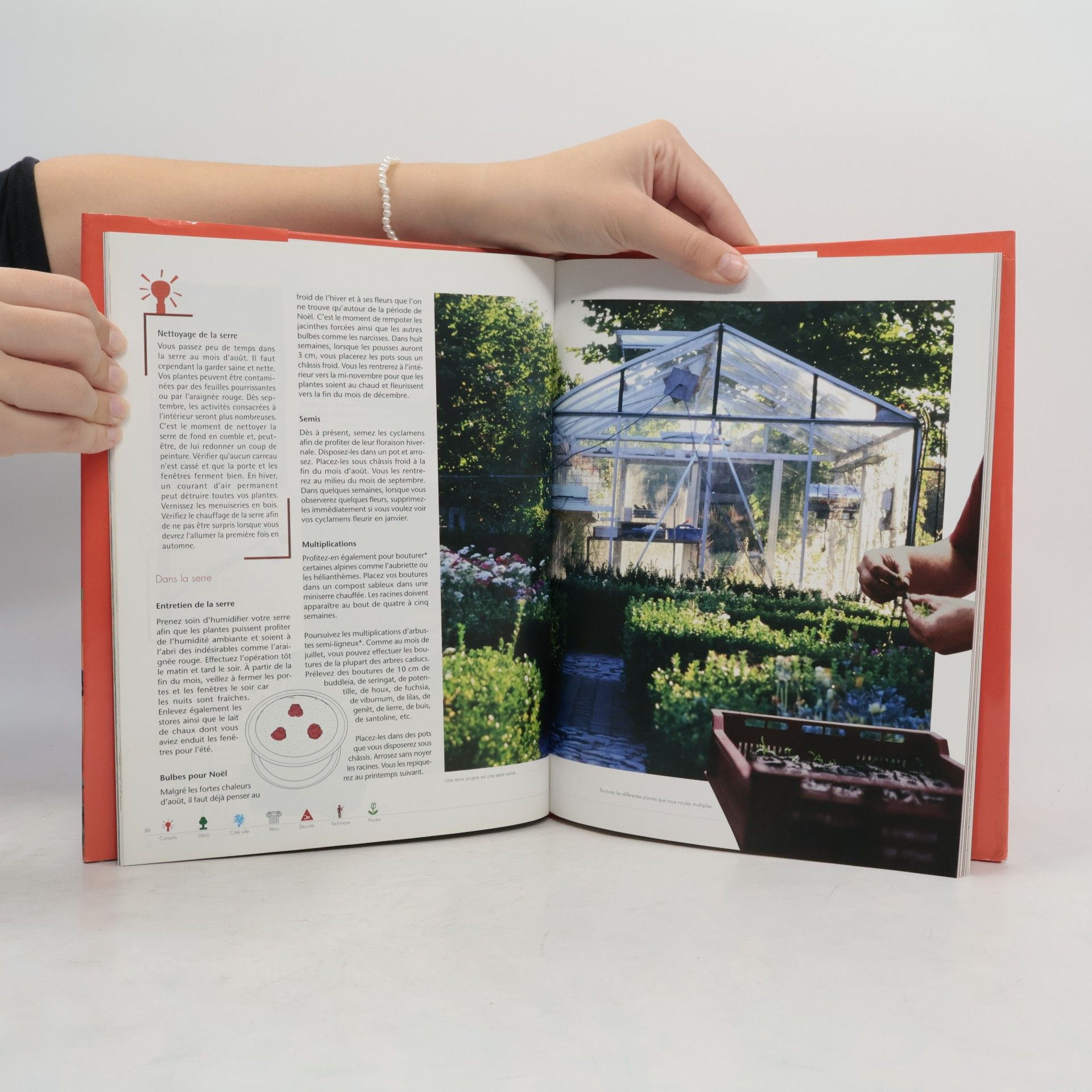 TXT Média Services Mon jardin au fil des saisons Août
