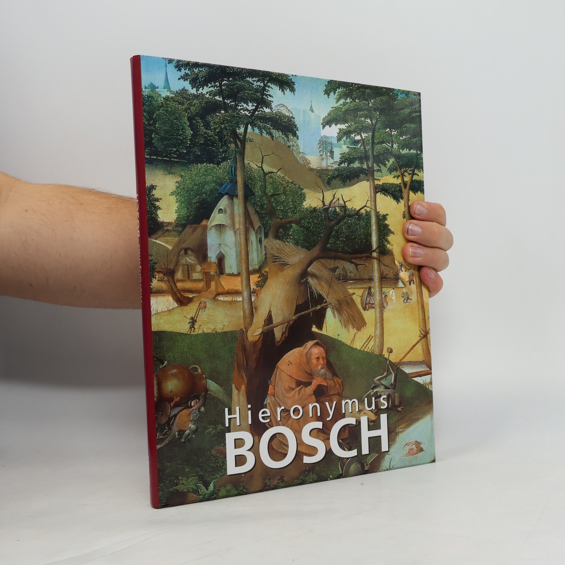 Virginia Rembert Hieronymus Bosch