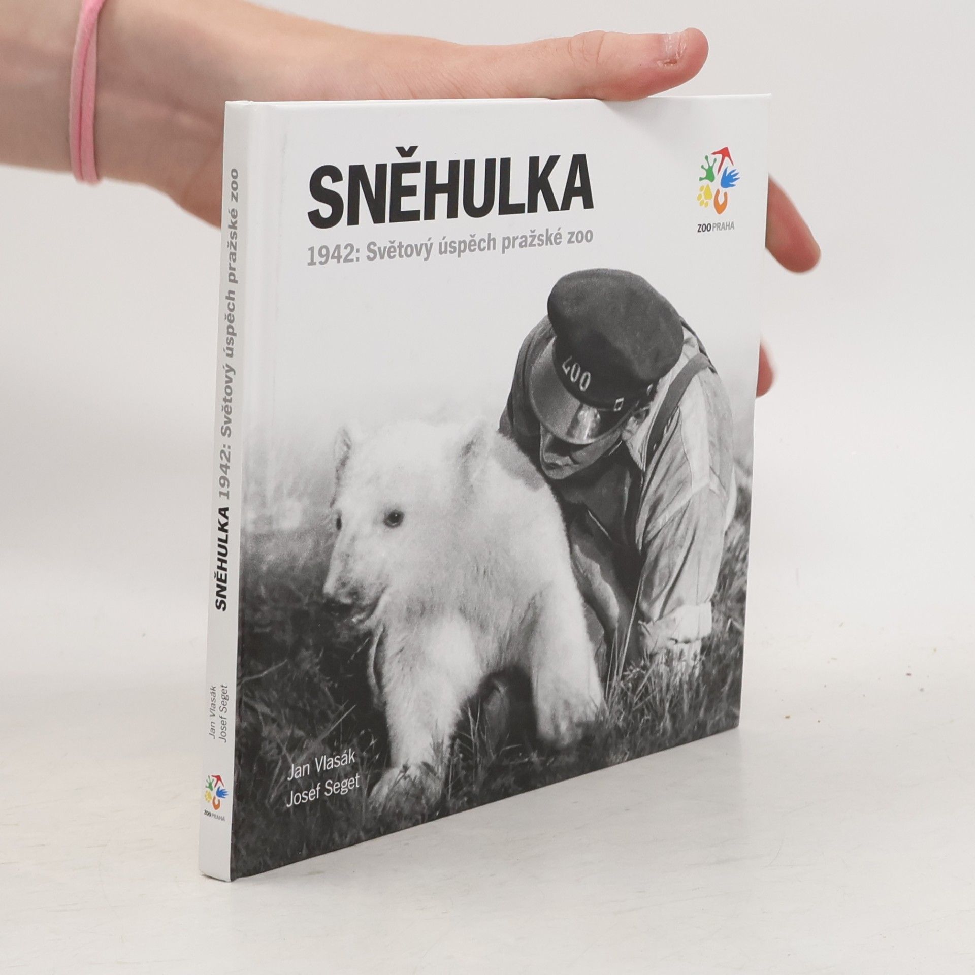 Various authors Sněhulka