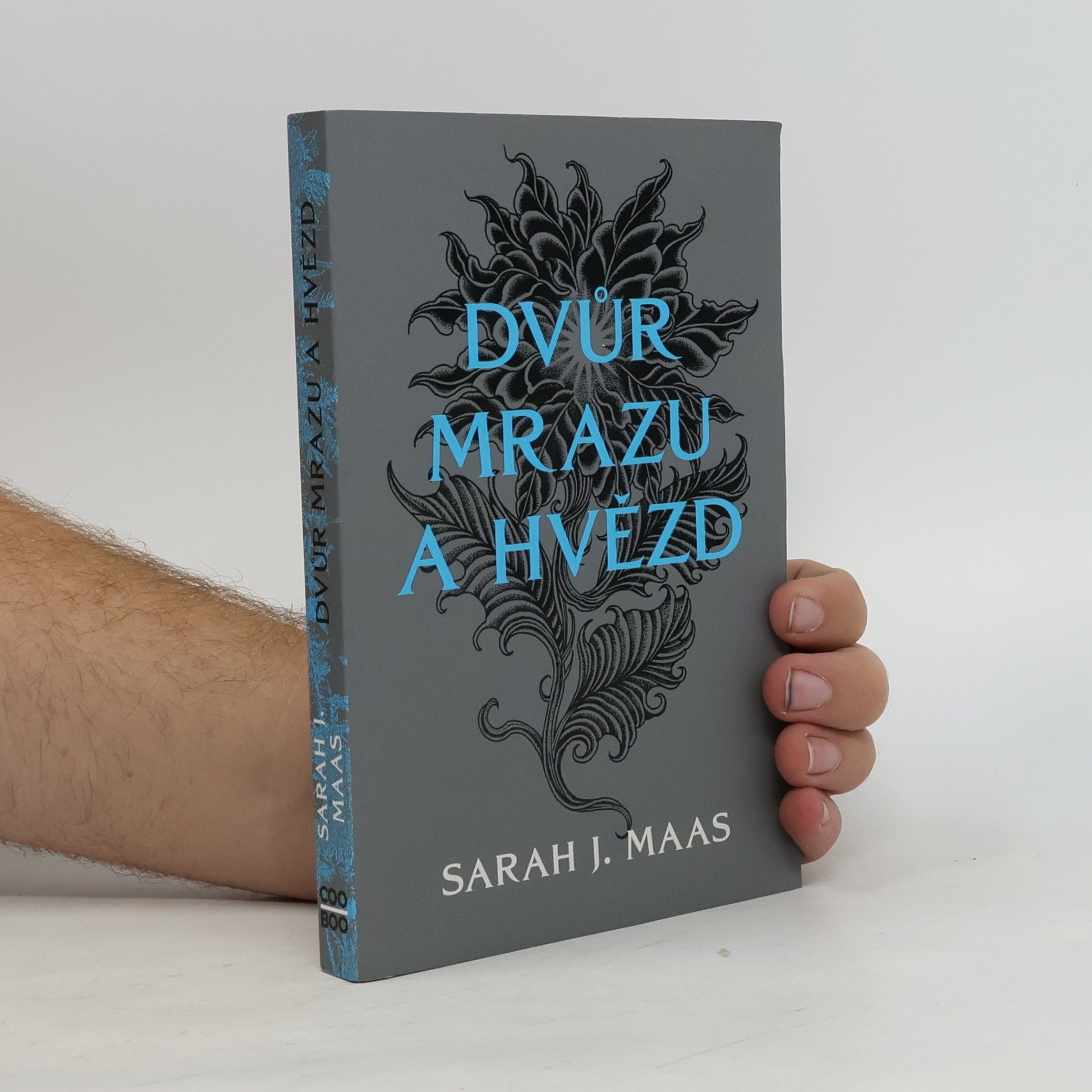Sarah J. Maas Dvůr mrazu a hvězd