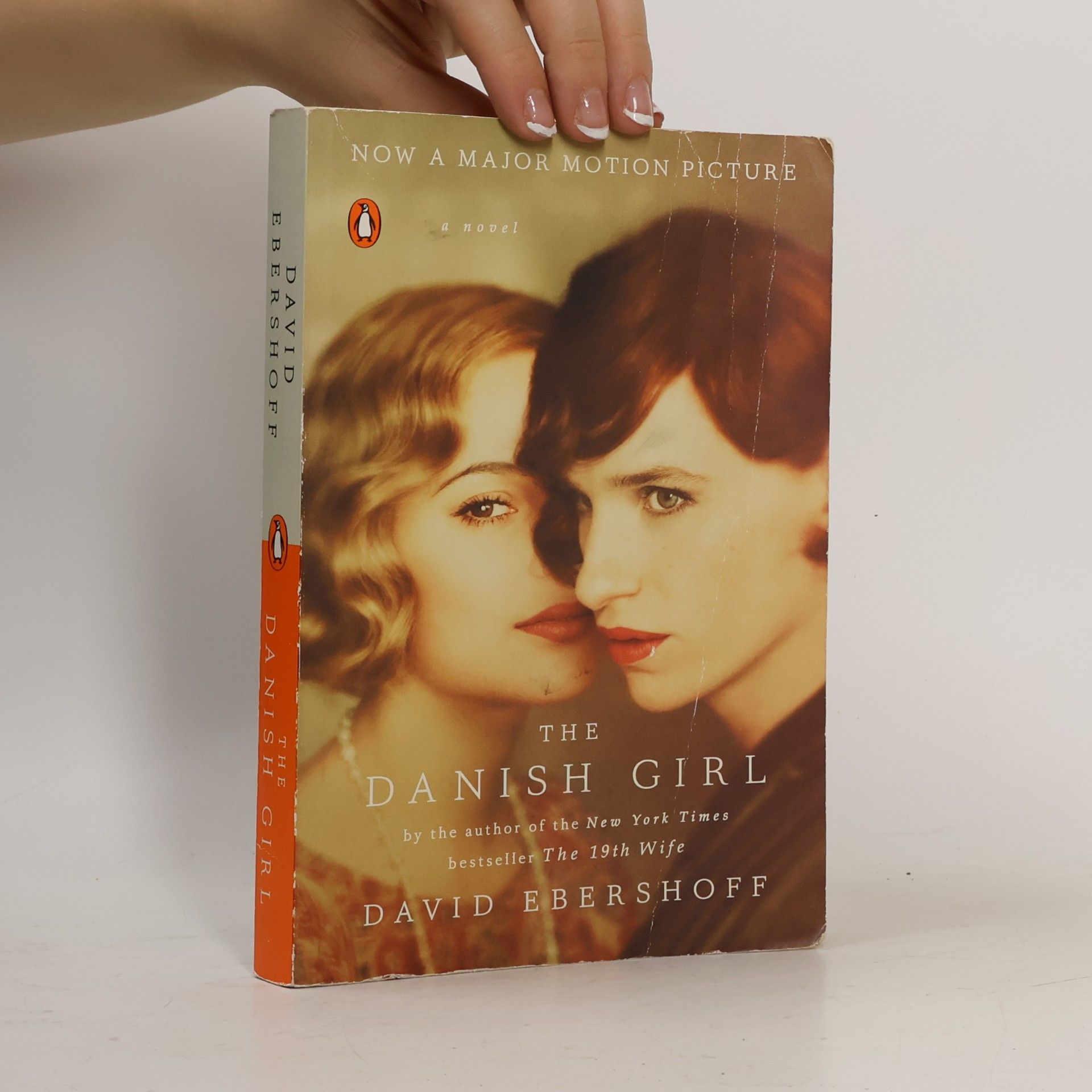 David Ebershoff The Danish Girl