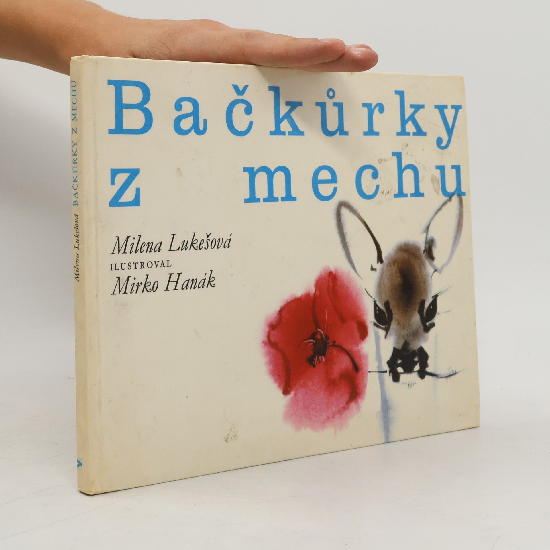 Bačkůrky z mechu