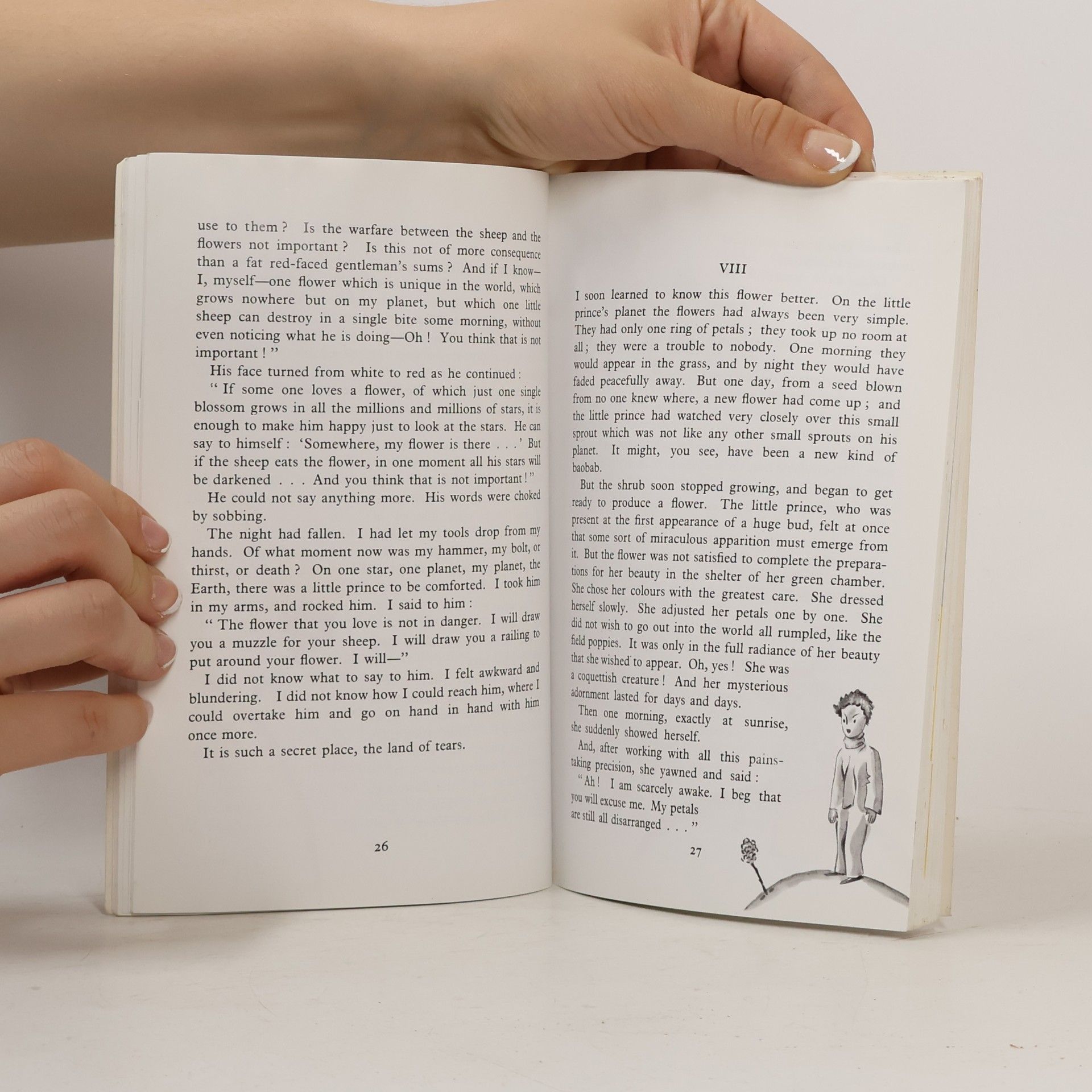 Katherine Woods The Little Prince