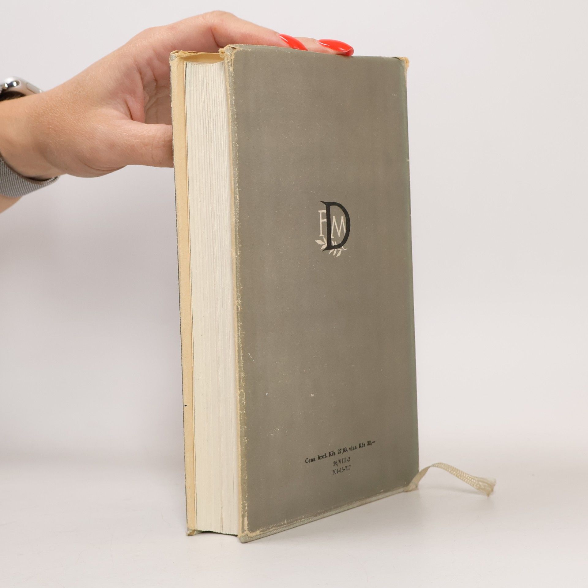 Fjodor Michailowitsch Dostojewski Idiot