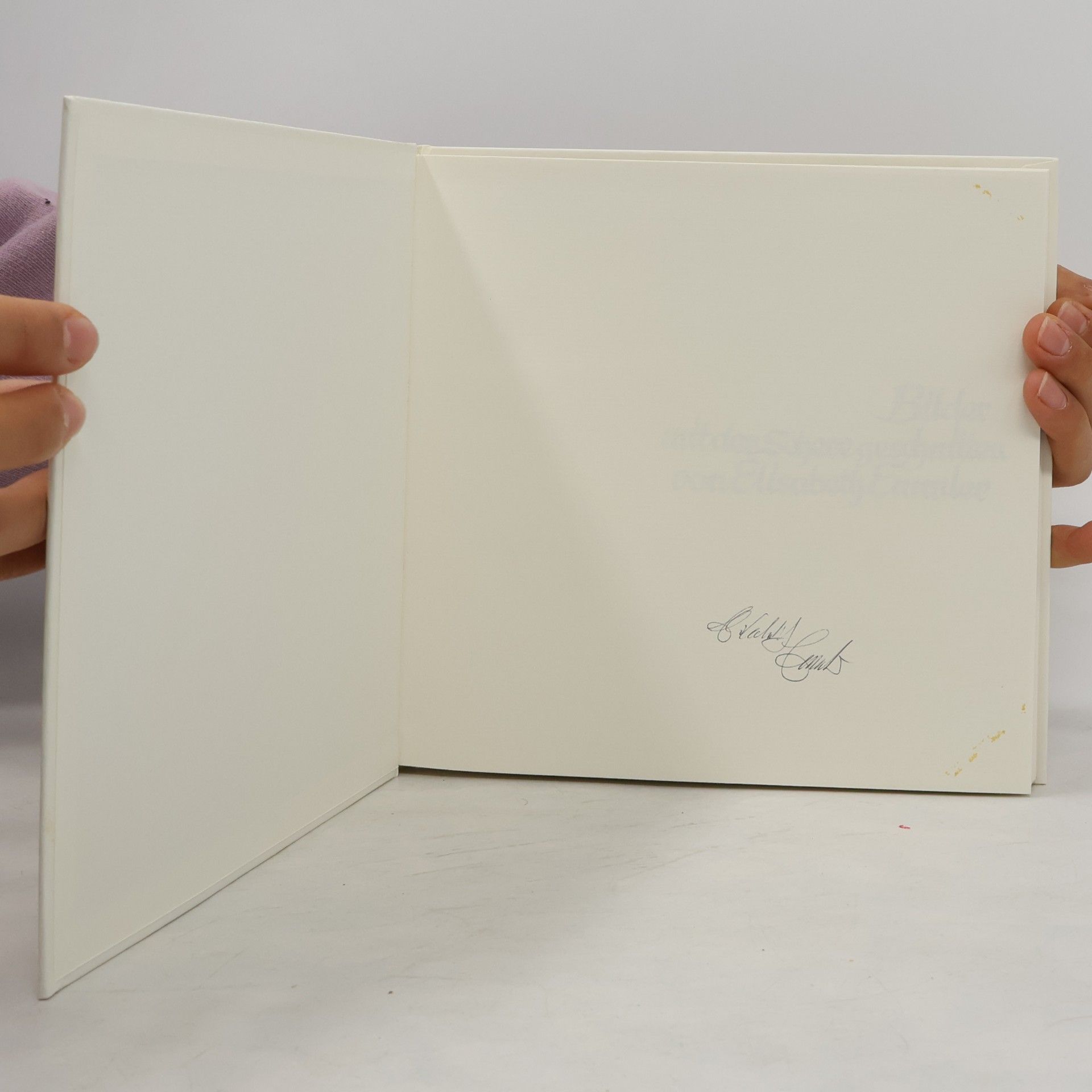 Elisabeth Emmler Bilder mit der Schere geschnitten