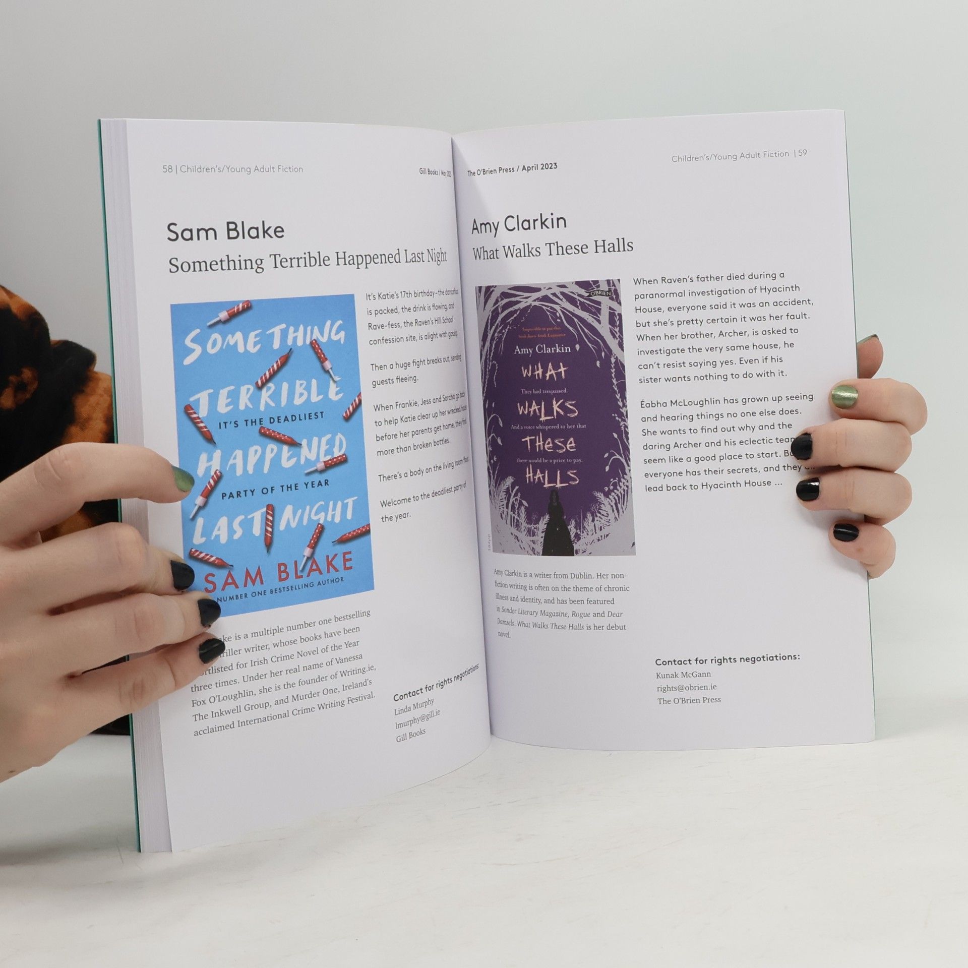 Various authors New Writing from Ireland