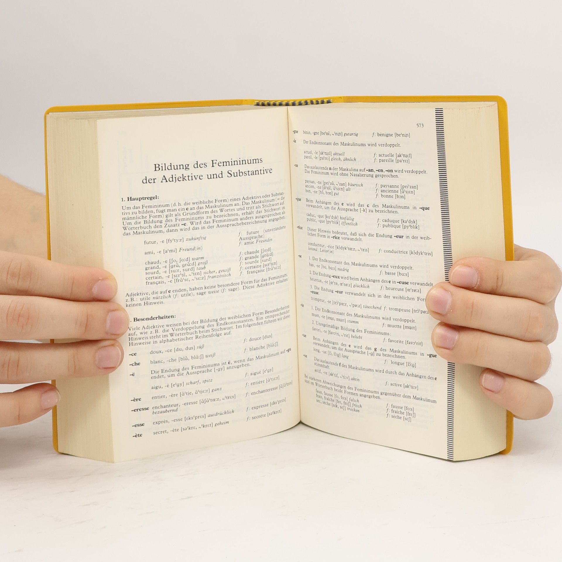 Ernst Erwin Lange-Kowal Langenscheidts Taschenwörterbuch Französisch