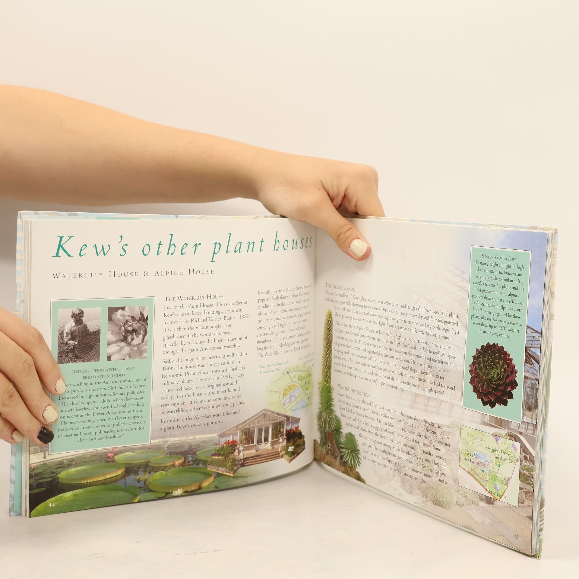 Paul. Text by. Cloutman Royal Botanic Gardens Kew - Souvenir Guide
