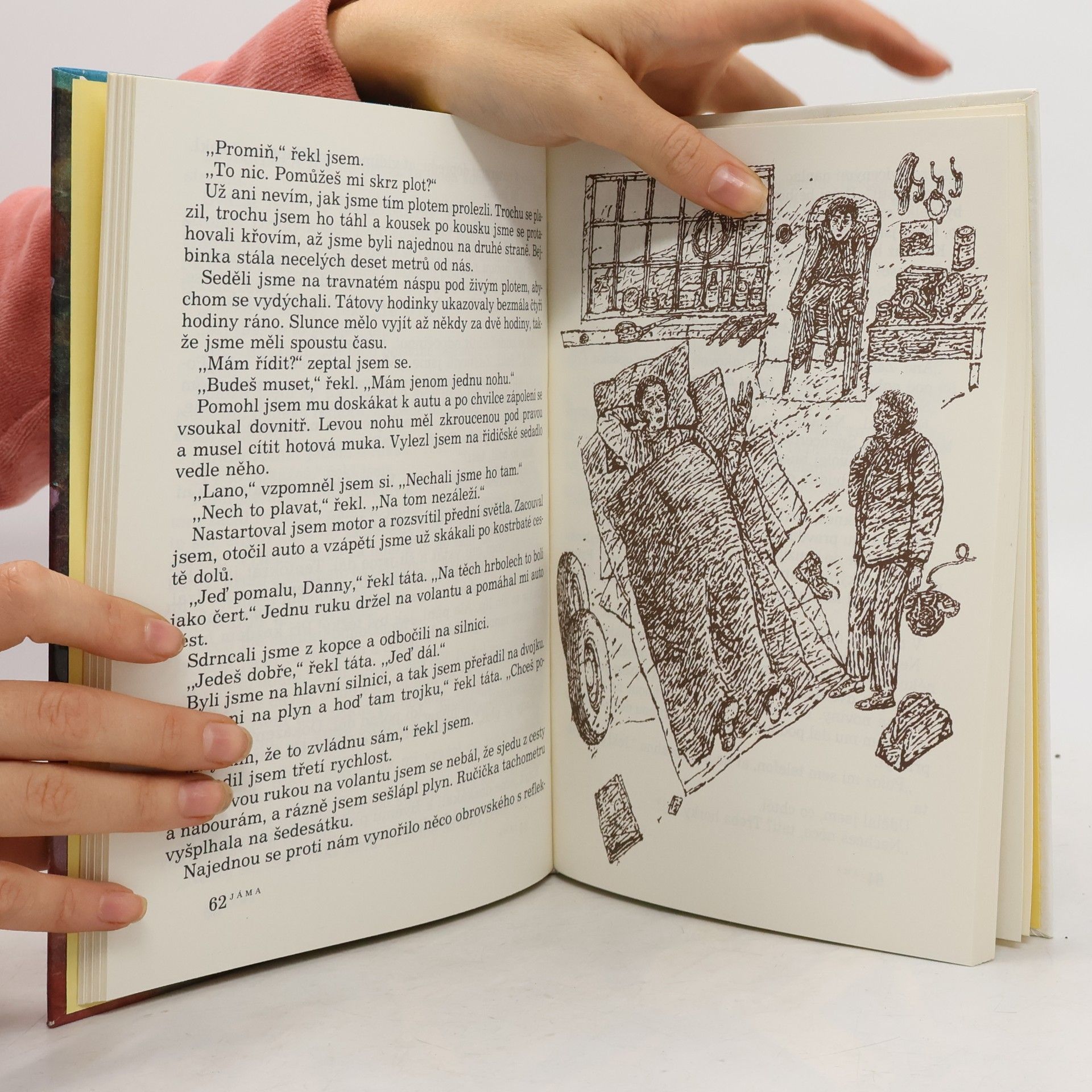 Roald Dahl Danny, mistr světa