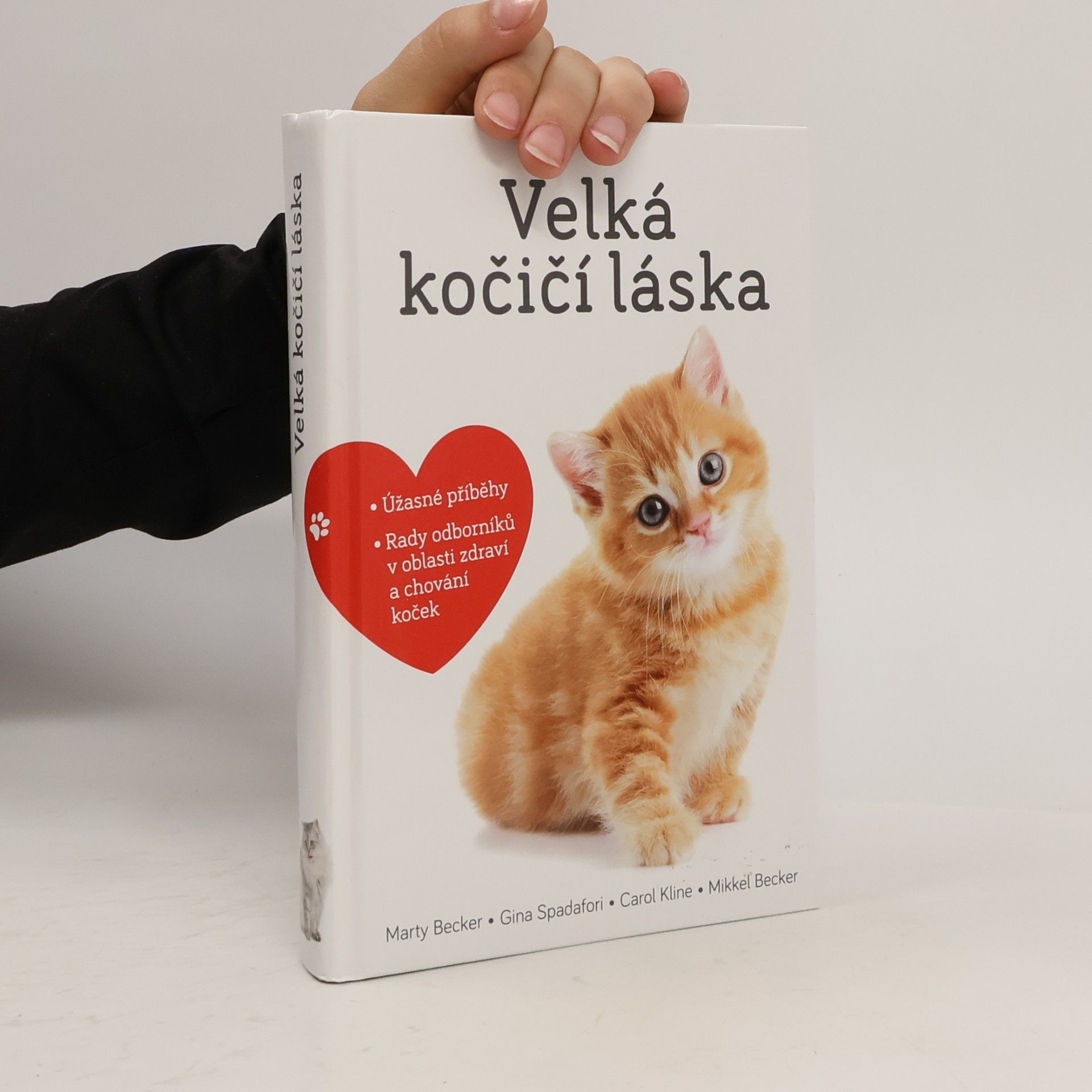 Marty Becker Velká kočičí láska