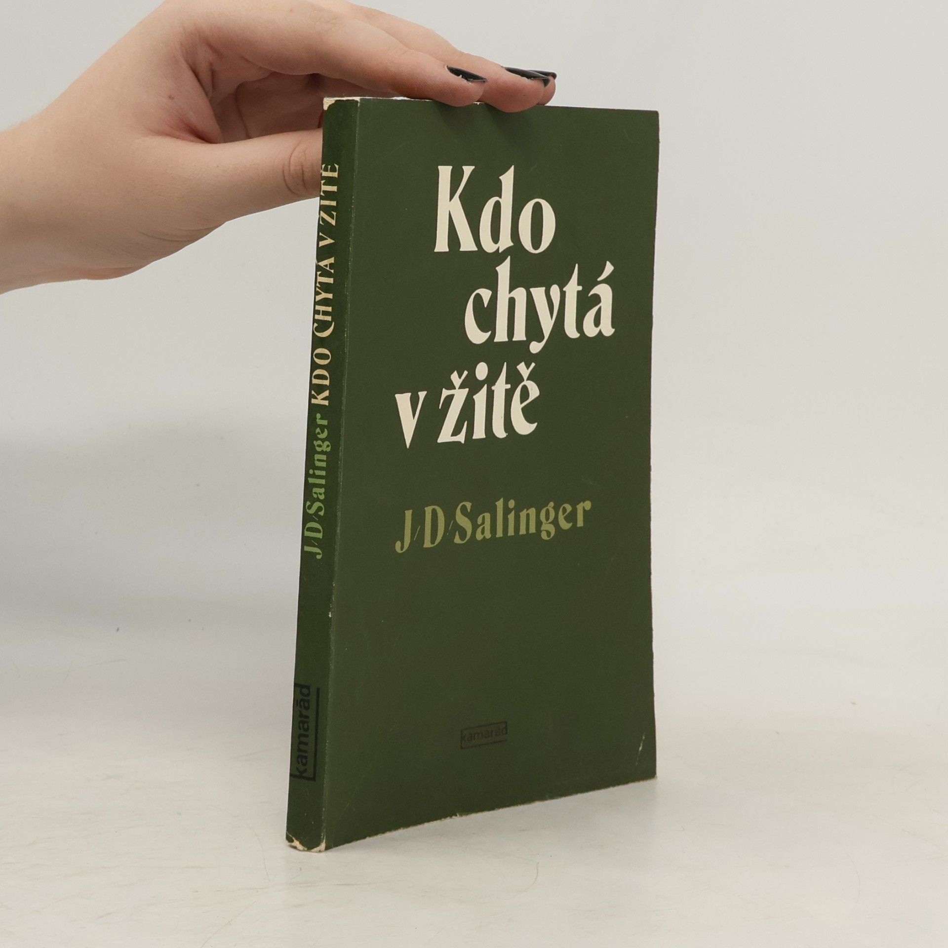 J. D. Salinger Kdo chytá v žitě