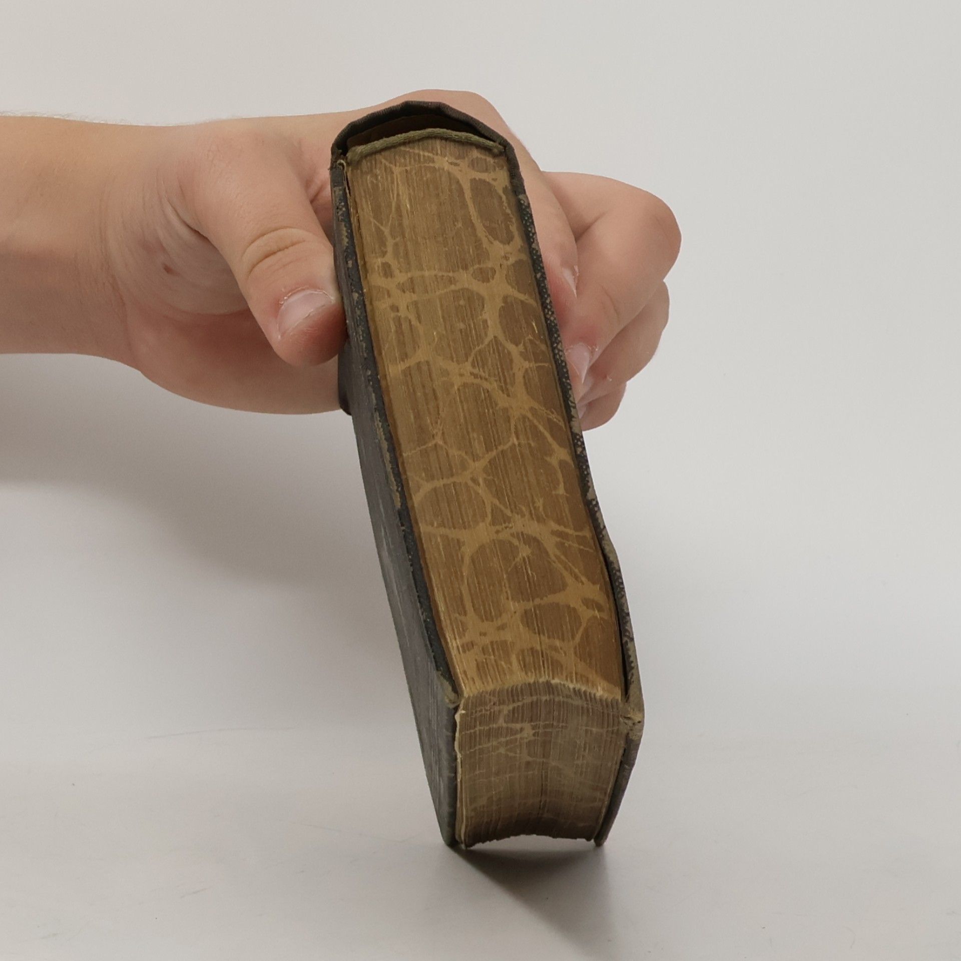 Kolektiv autorů Biblí svatá aneb všecka svatá písma starého i nového zákona