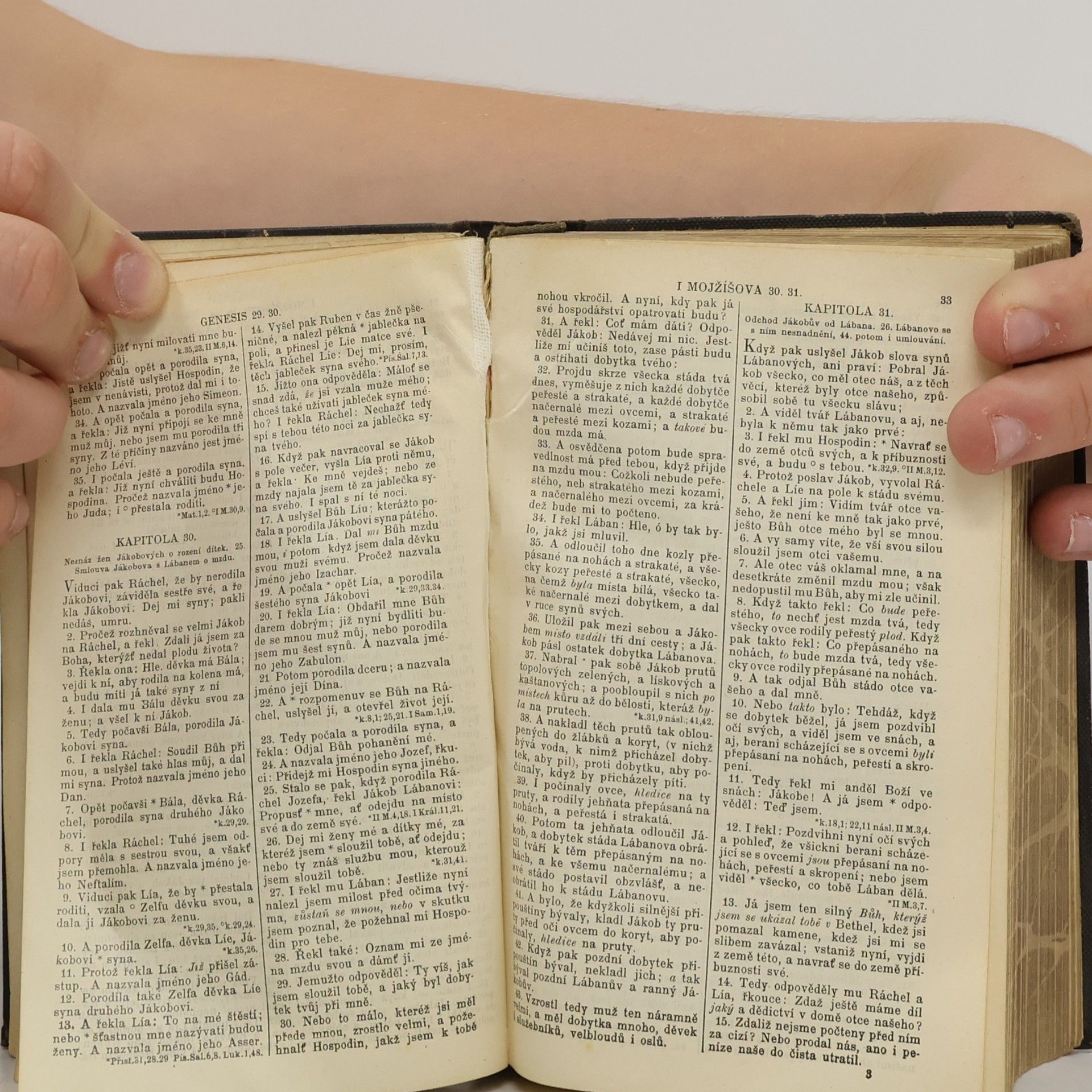Kolektiv autorů Biblí svatá aneb všecka svatá písma starého i nového zákona
